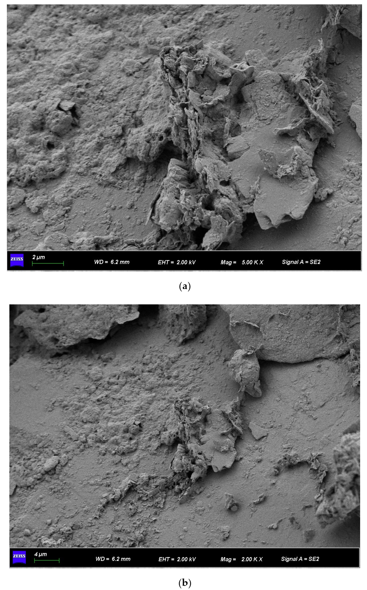 Applsci 13 01325 g011a Applsci 13 01325 g011a