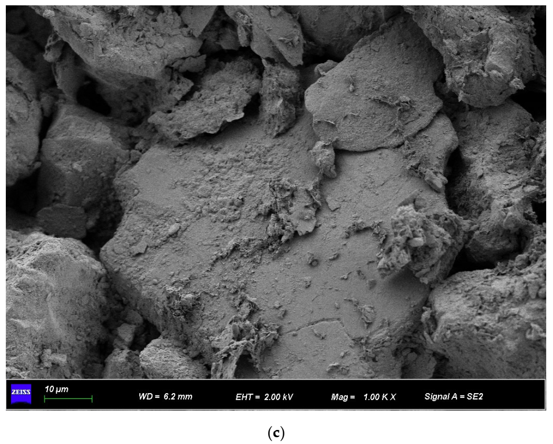 Applsci 13 01325 g011b Applsci 13 01325 g011b