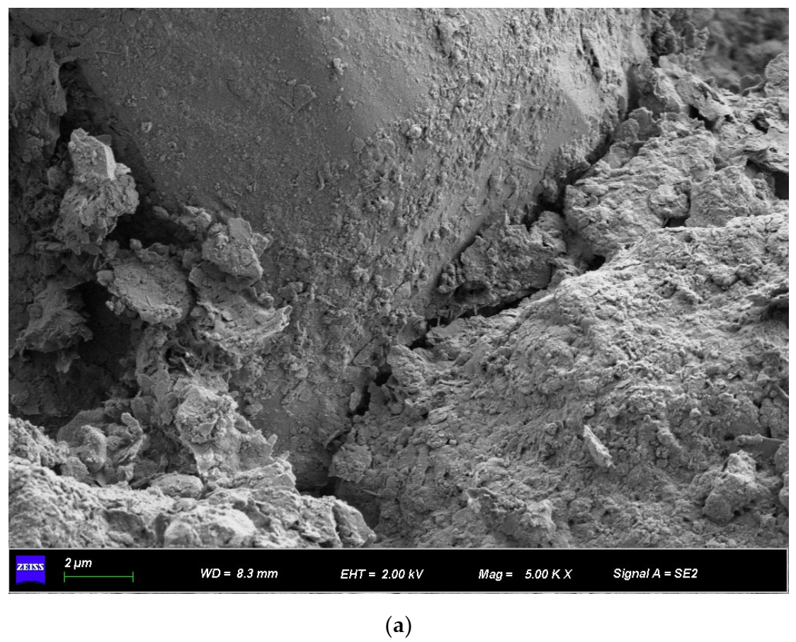 Applsci 13 01325 g012a Applsci 13 01325 g012a