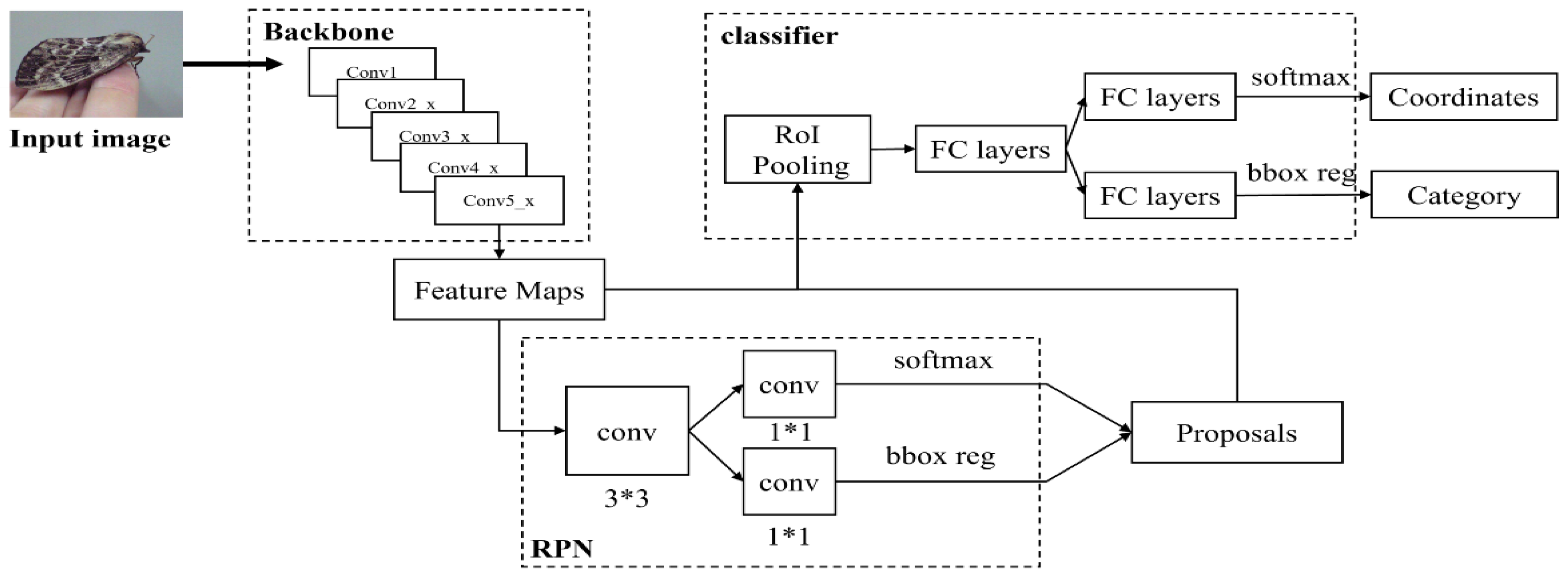 Applied Sciences | Free Full-Text | A Study on Pine Larva Detection ...