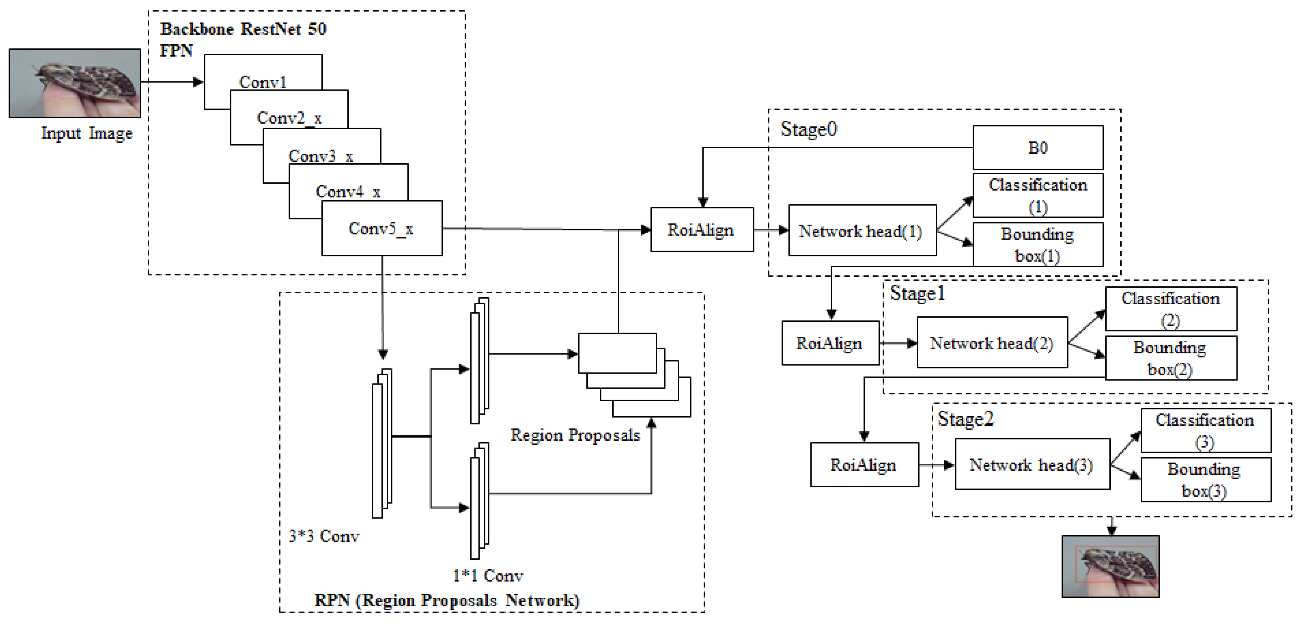 Applied Sciences | Free Full-Text | A Study on Pine Larva Detection ...