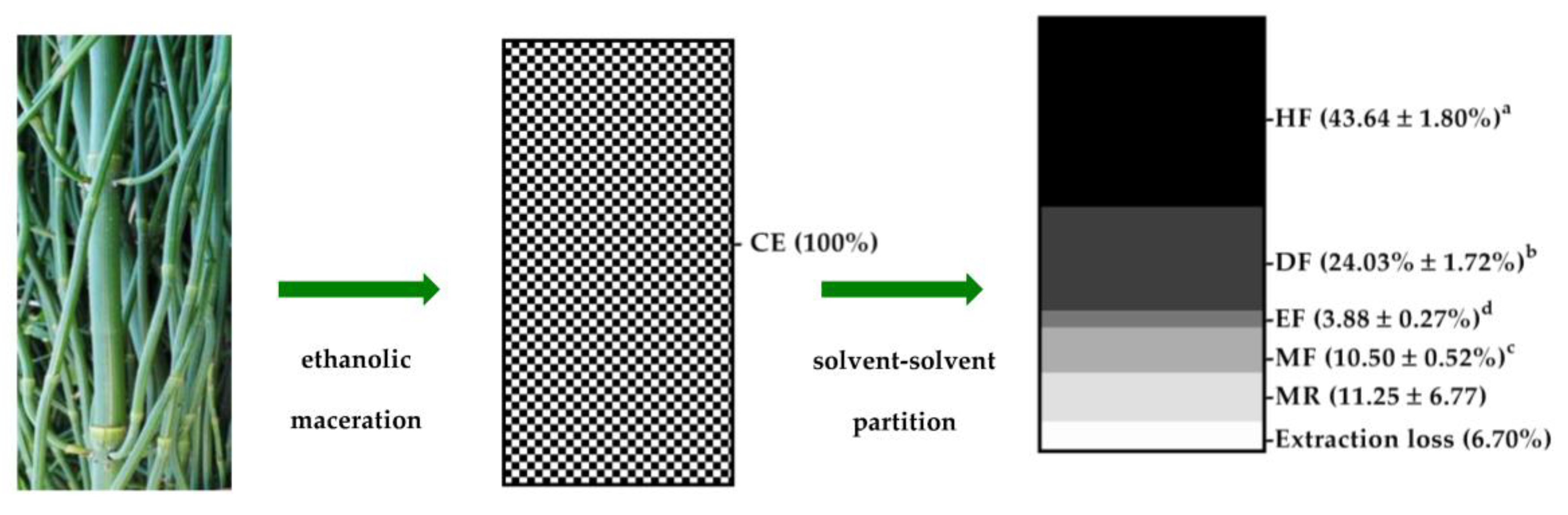Applsci 13 01336 g003 Applsci 13 01336 g003