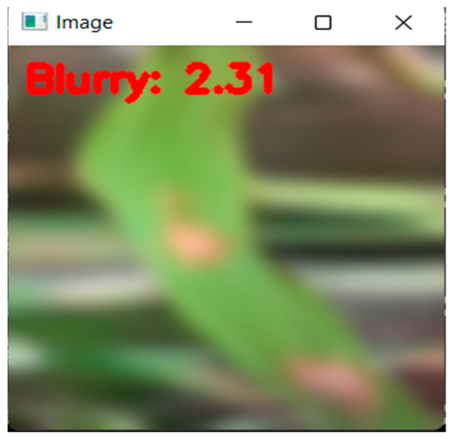 Applsci 13 01346 g001