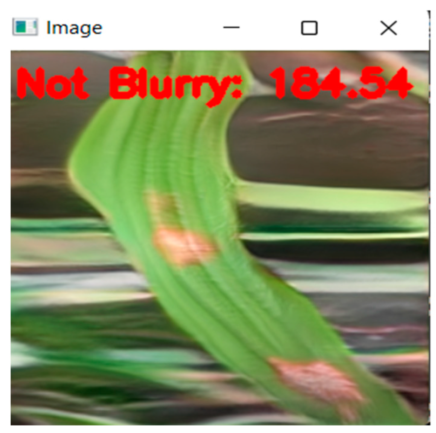 Applsci 13 01346 g002