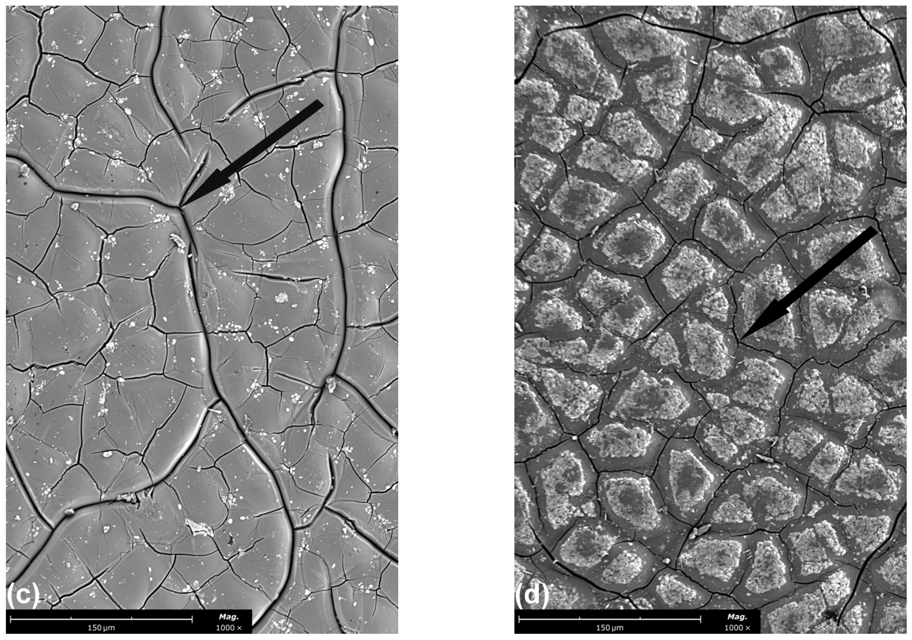 Applsci 13 01375 g002b