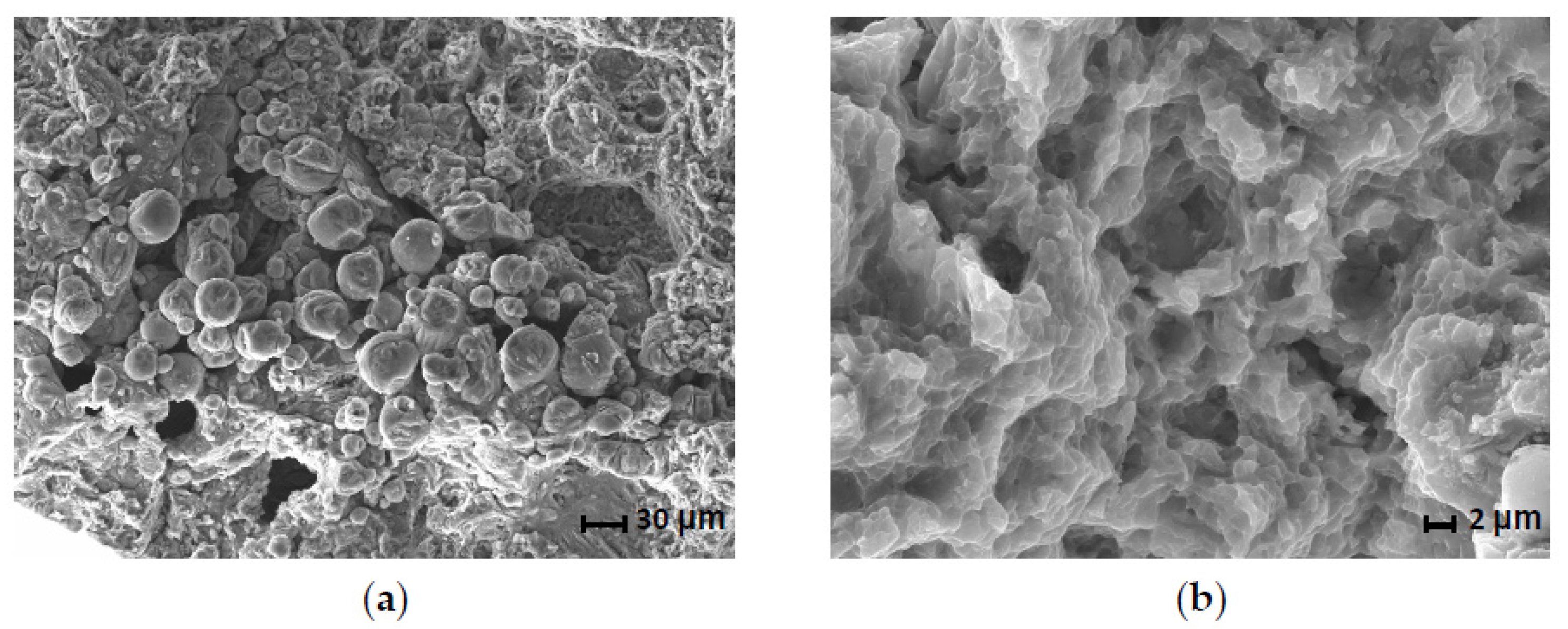 Applsci 13 01377 g010