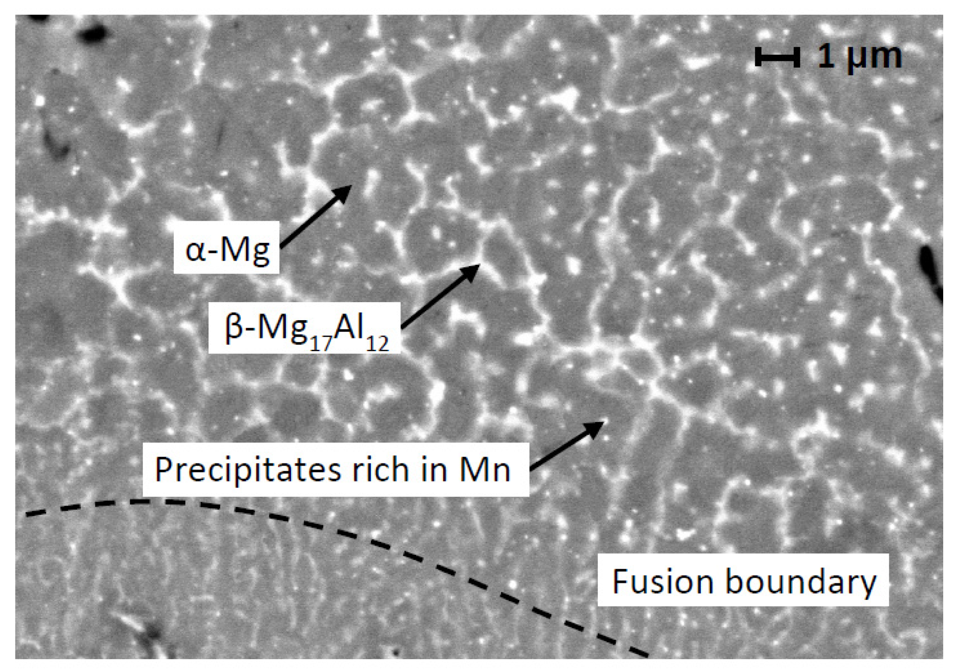 Applsci 13 01377 g013