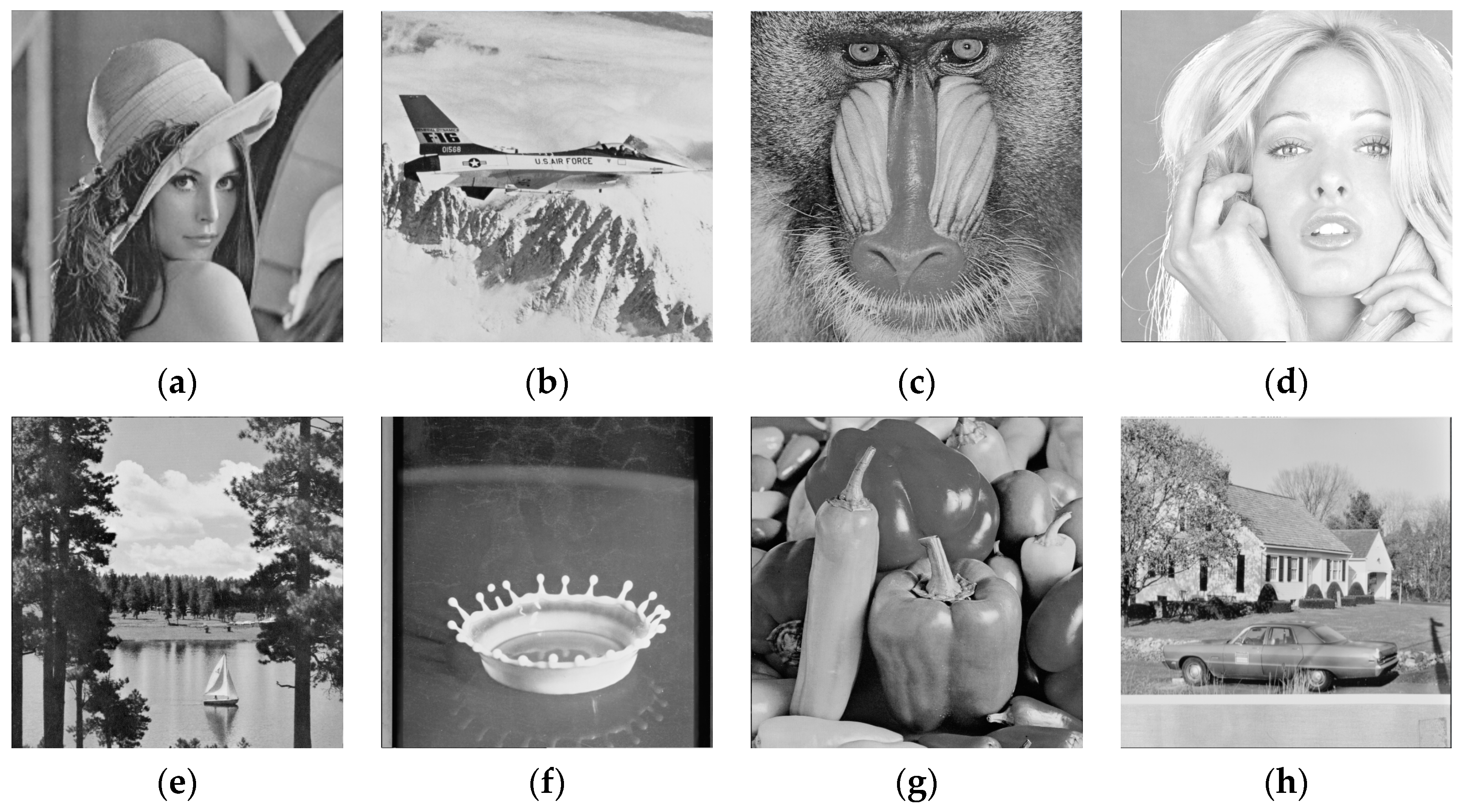 Applsci 13 01402 g003 Applsci 13 01402 g003
