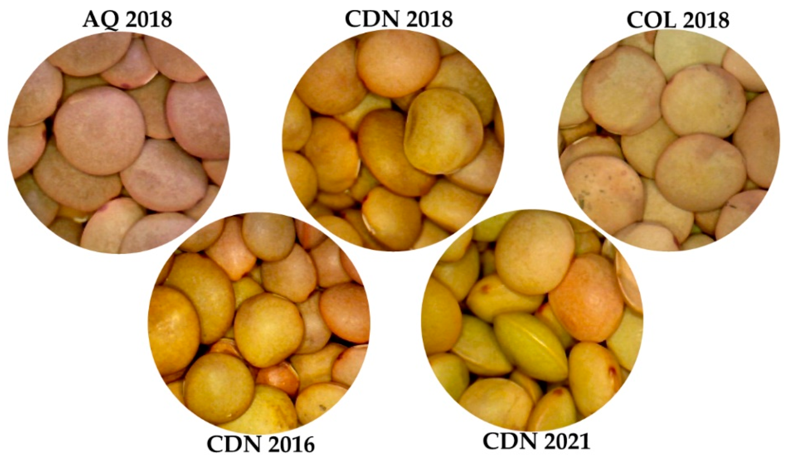 Applsci 13 01433 g0a1