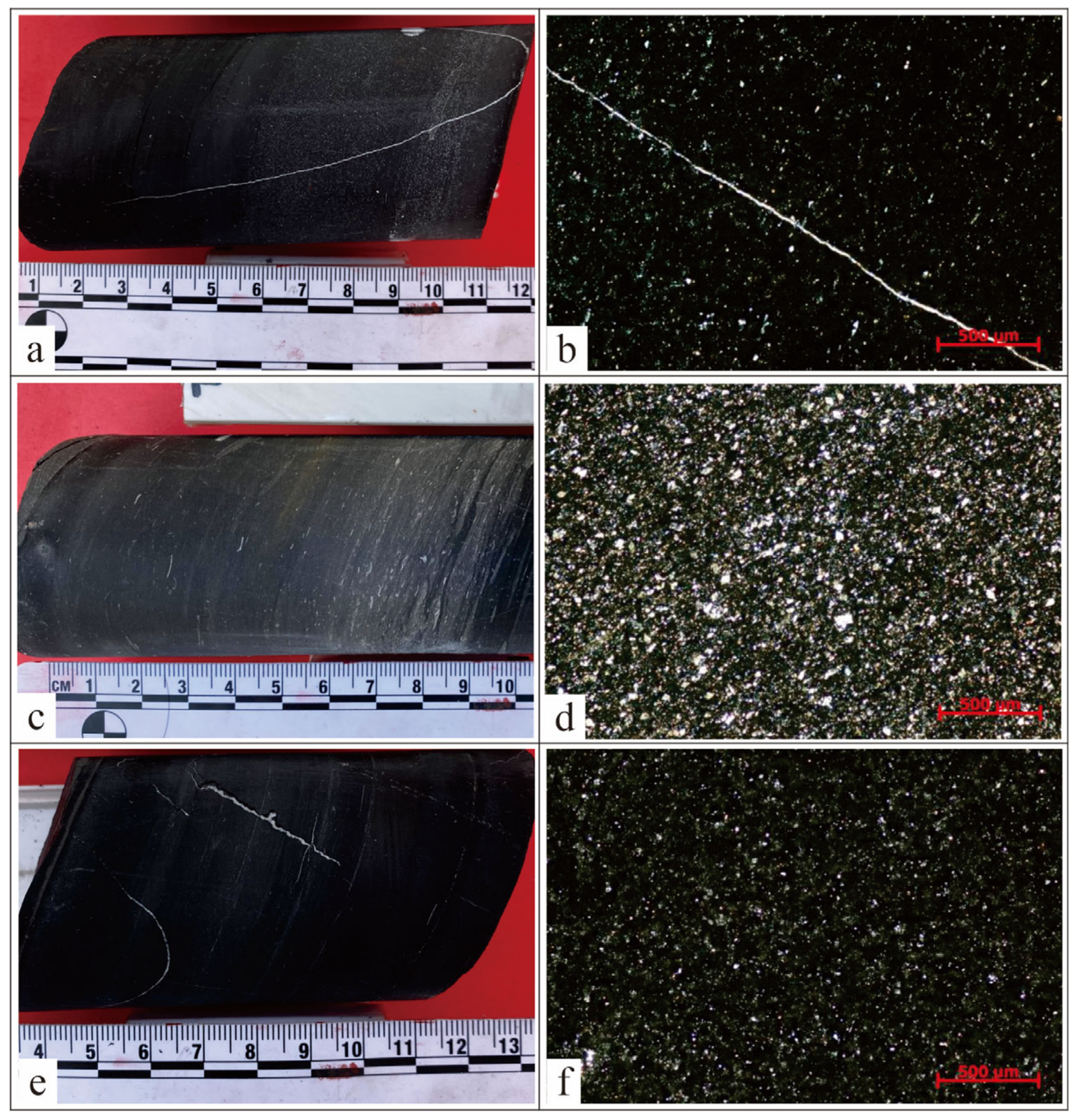 Applsci 13 01434 g005 Applsci 13 01434 g005