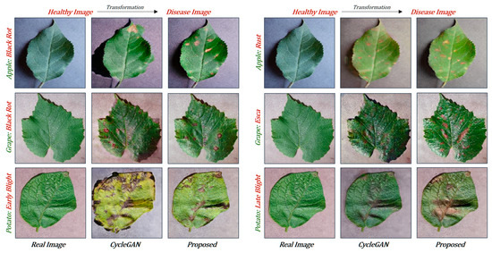 Data Augmentation Method for Plant Leaf Disease Recognition
