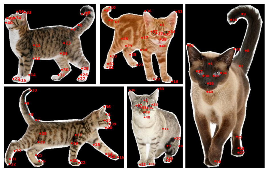 Applsci 13 01466 g002