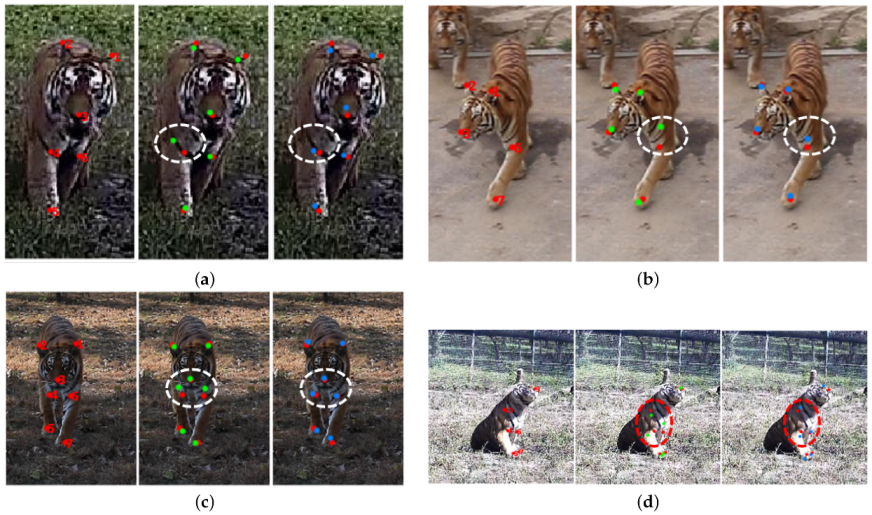 Applsci 13 01466 g007