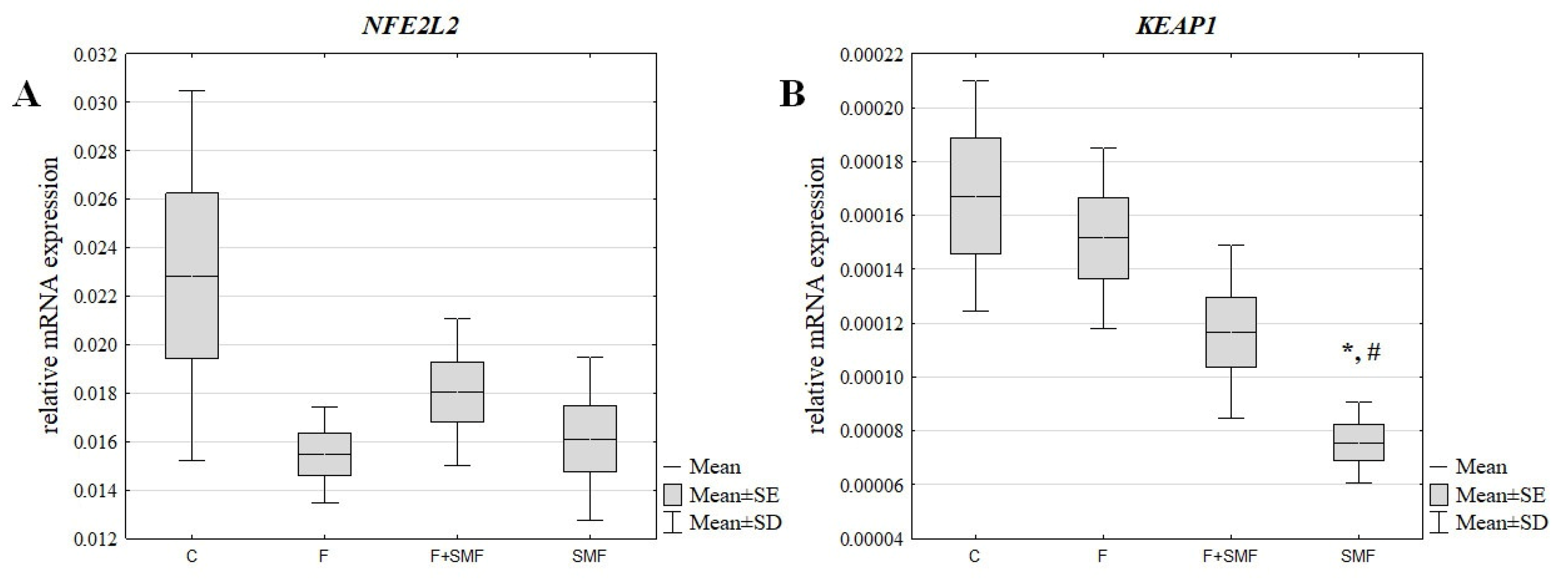 Applied Sciences Free FullText The Effect of a Static