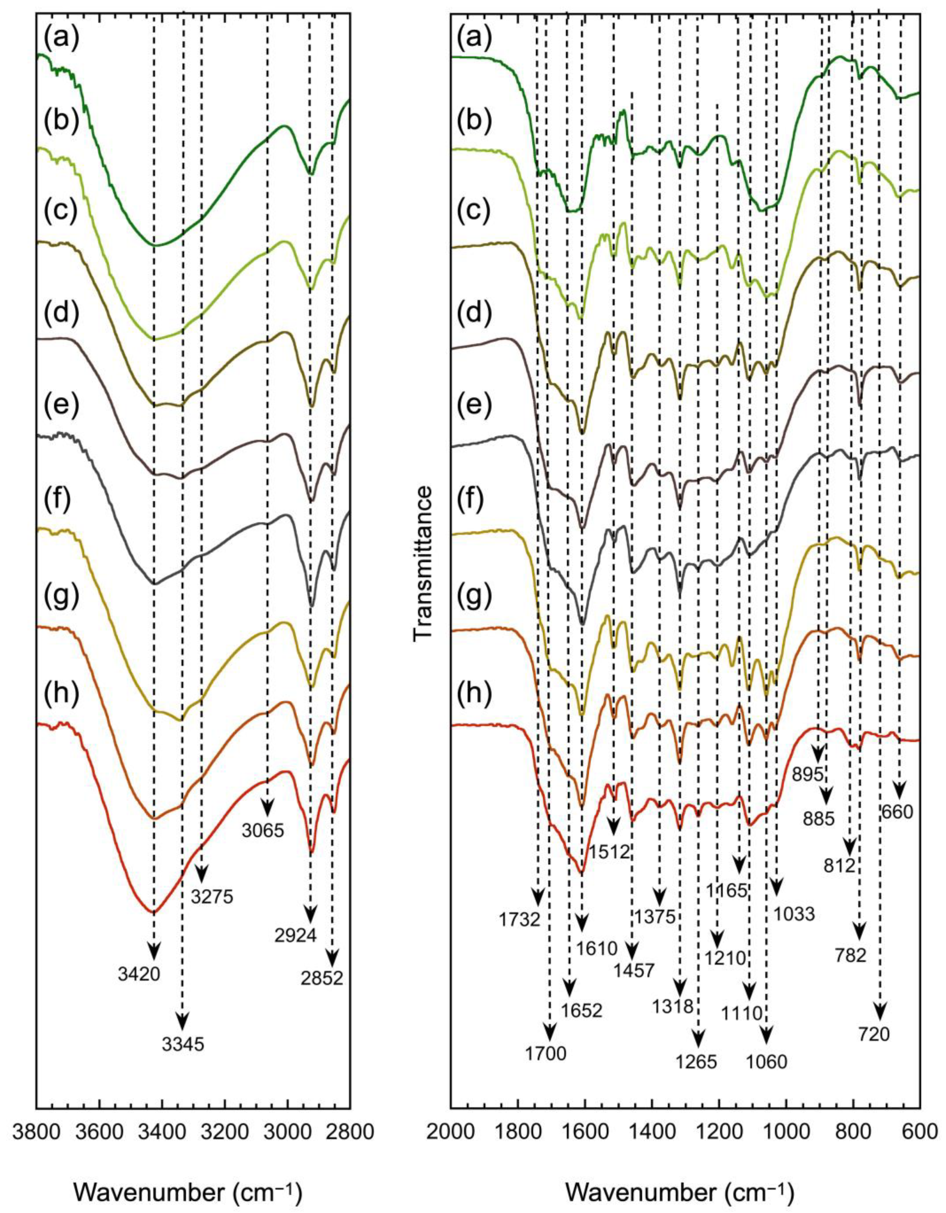 Applsci 13 01515 g001 Applsci 13 01515 g001