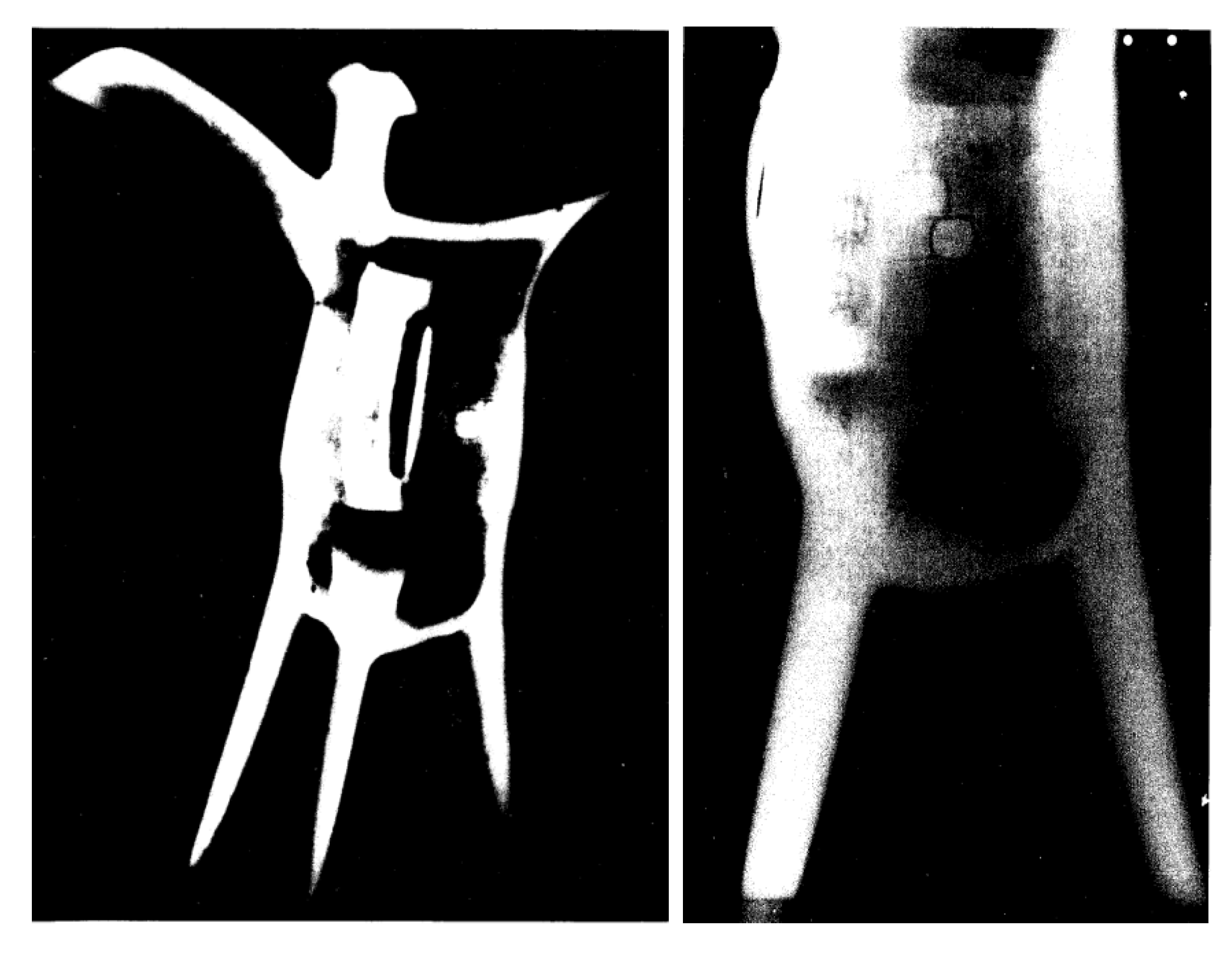 Applsci 13 01549 g002 Applsci 13 01549 g002