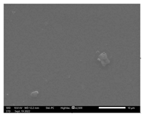 Applsci 13 01550 i003