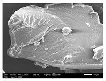 Applsci 13 01550 i008