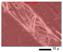 Applsci 13 01550 i010