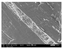 Applsci 13 01550 i011