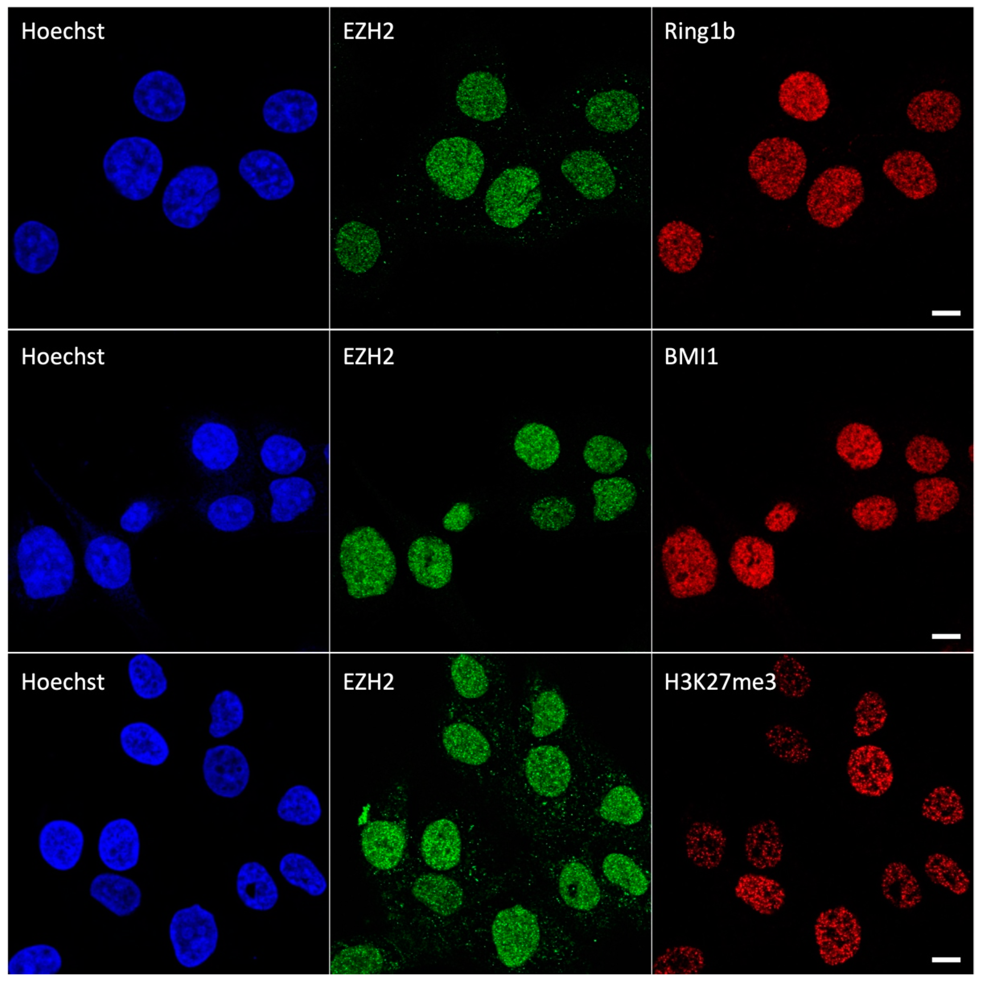 Applsci 13 01556 g001