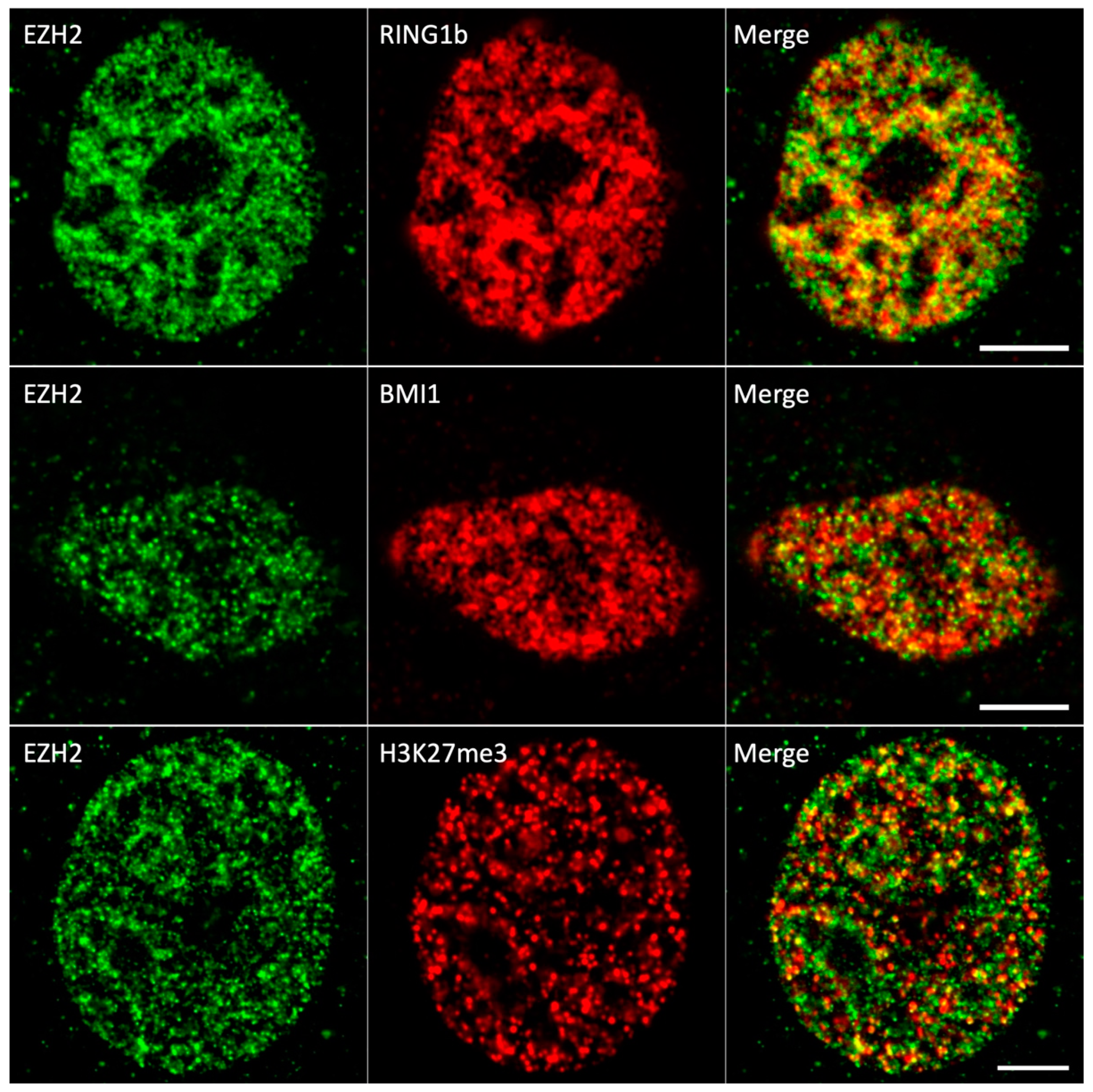 Applsci 13 01556 g003