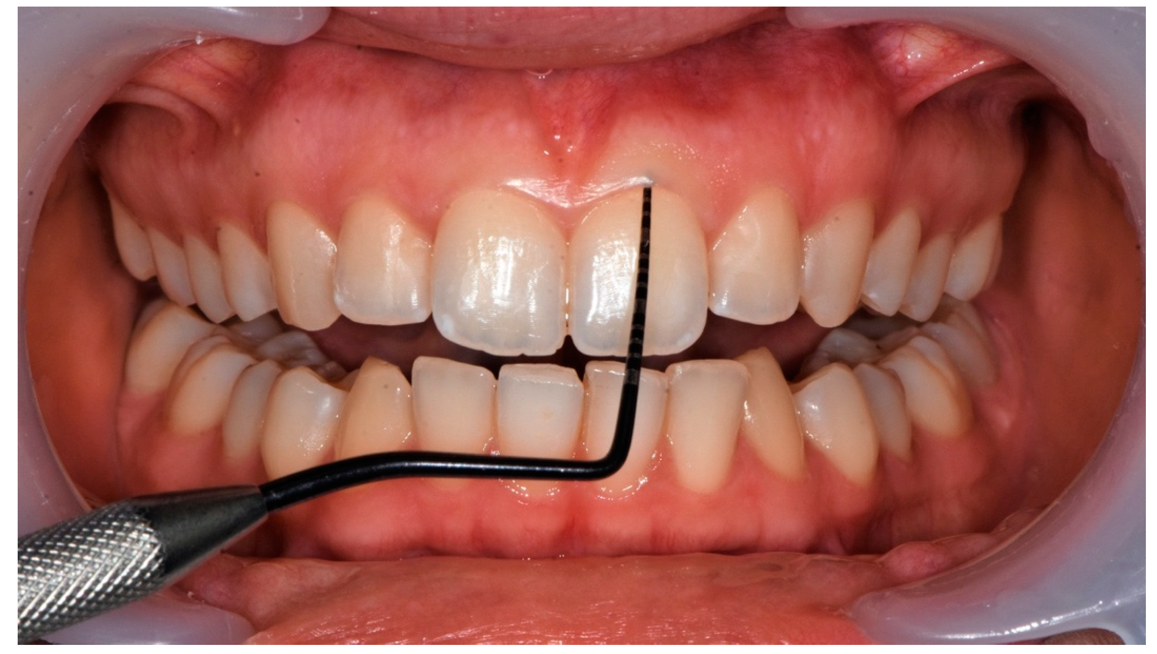 Applsci 13 01561 g002