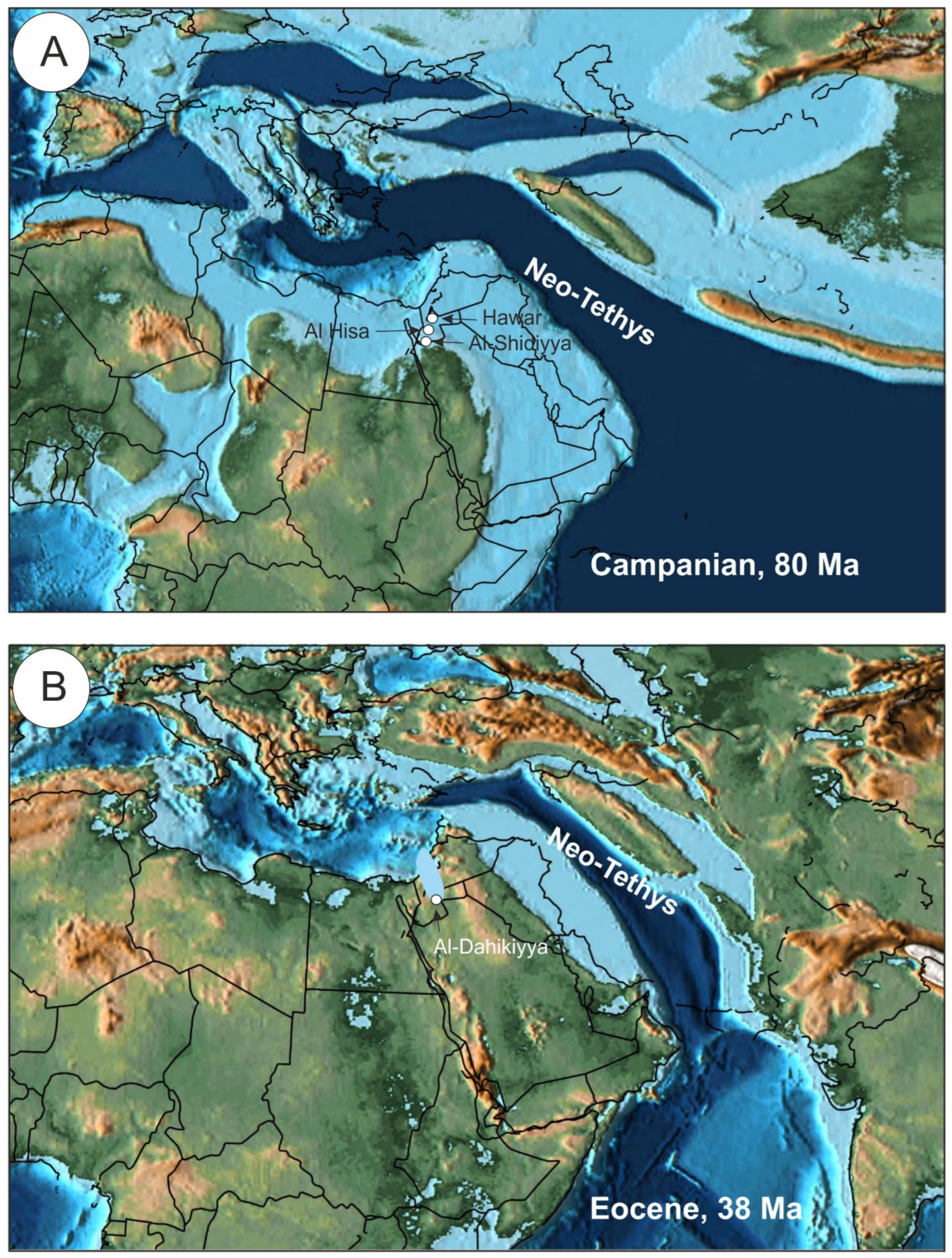 Applsci 13 01568 g001