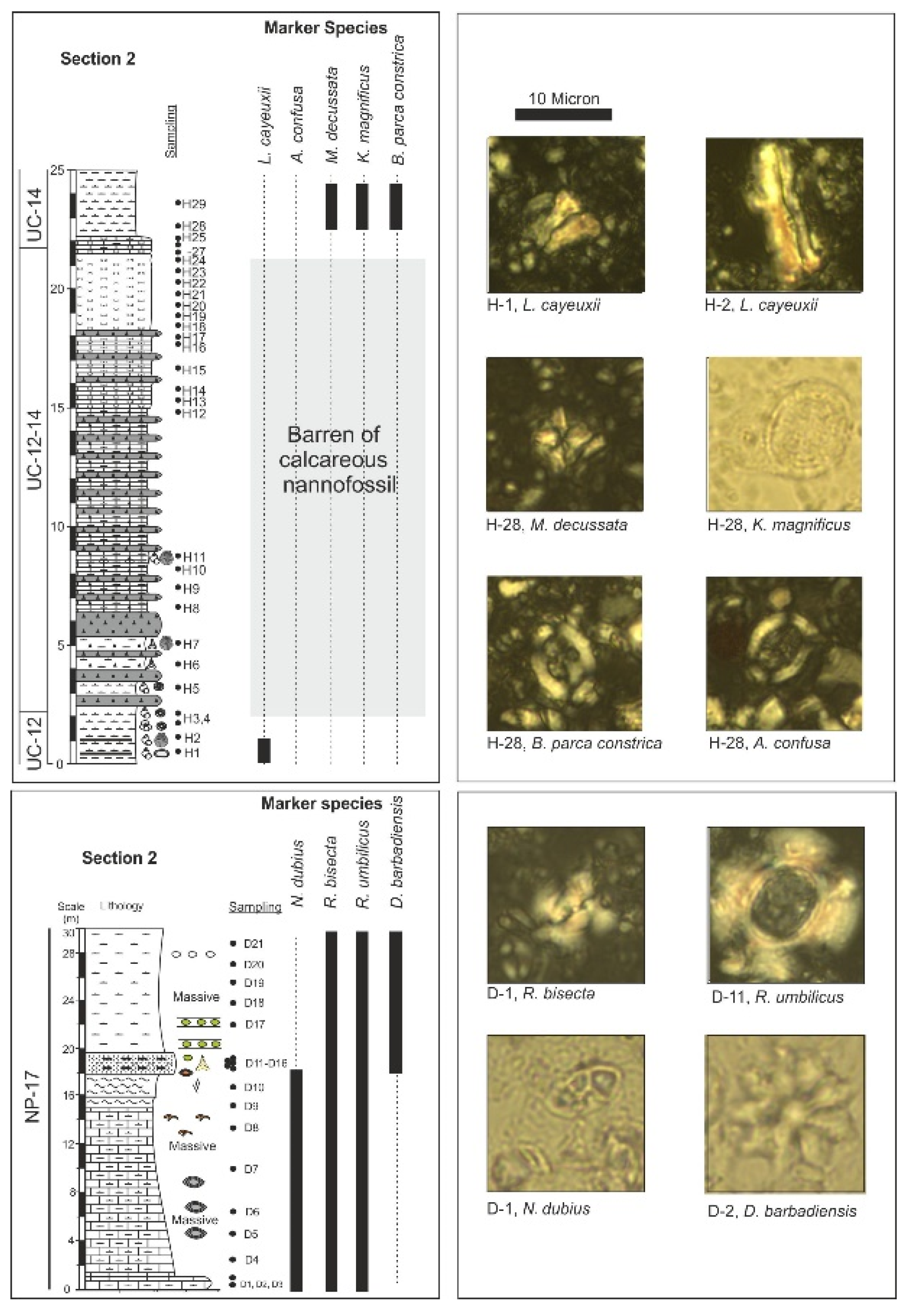 Applsci 13 01568 g004