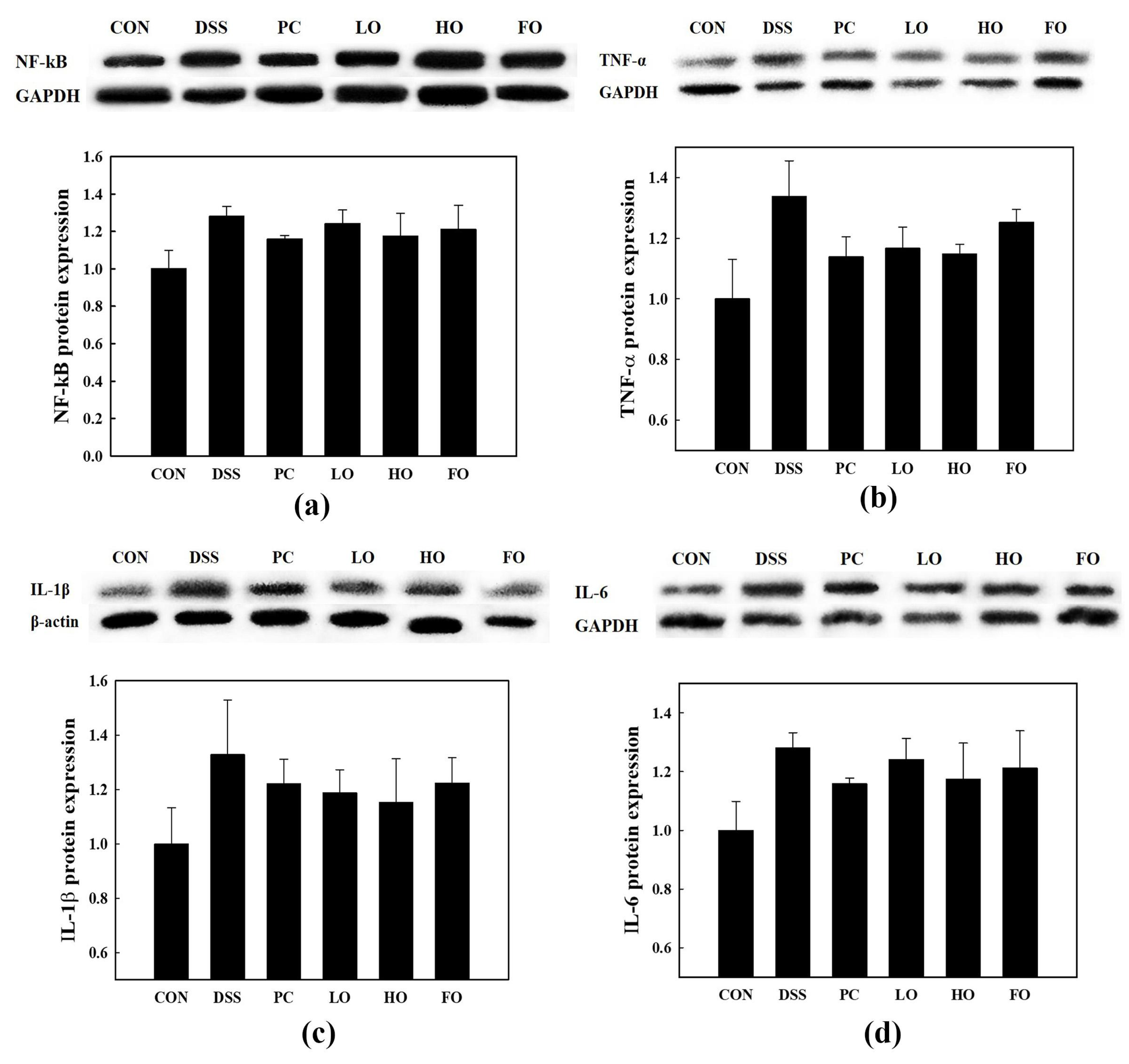 Applsci 13 01590 g006 Applsci 13 01590 g006