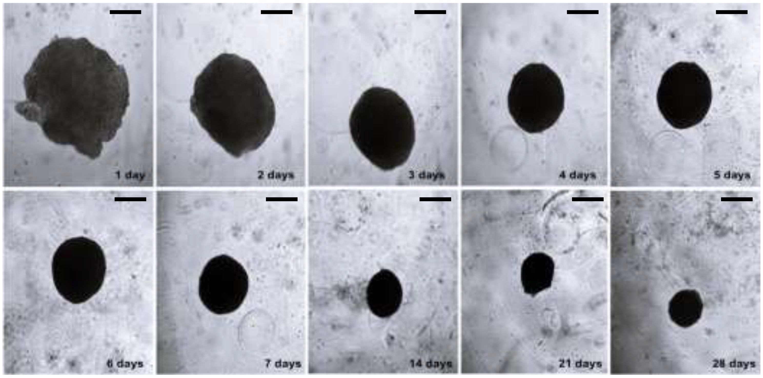 Applsci 13 01602 g001 Applsci 13 01602 g001