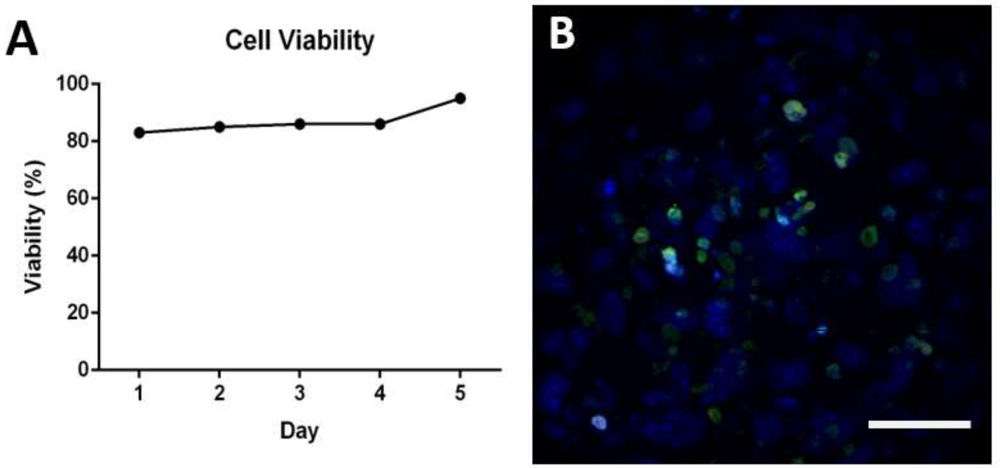 Applsci 13 01602 g002 Applsci 13 01602 g002