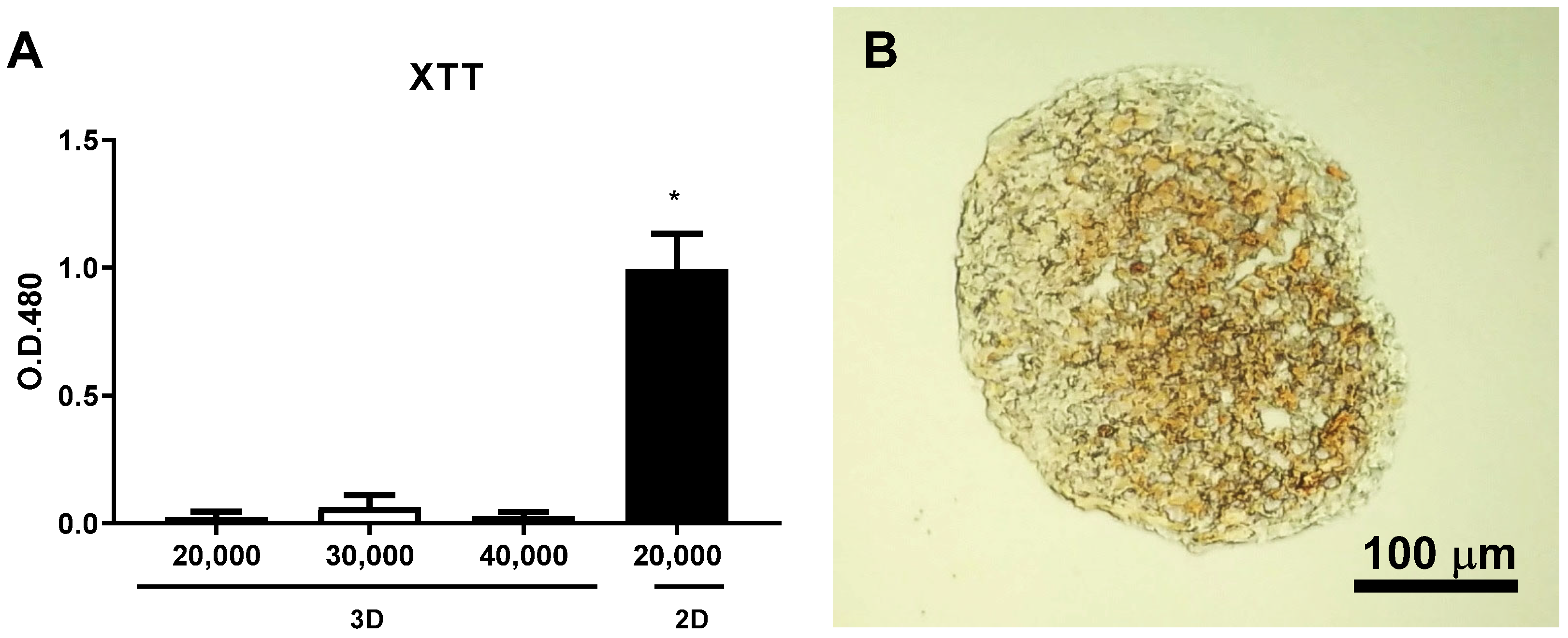 Applsci 13 01602 g006 Applsci 13 01602 g006