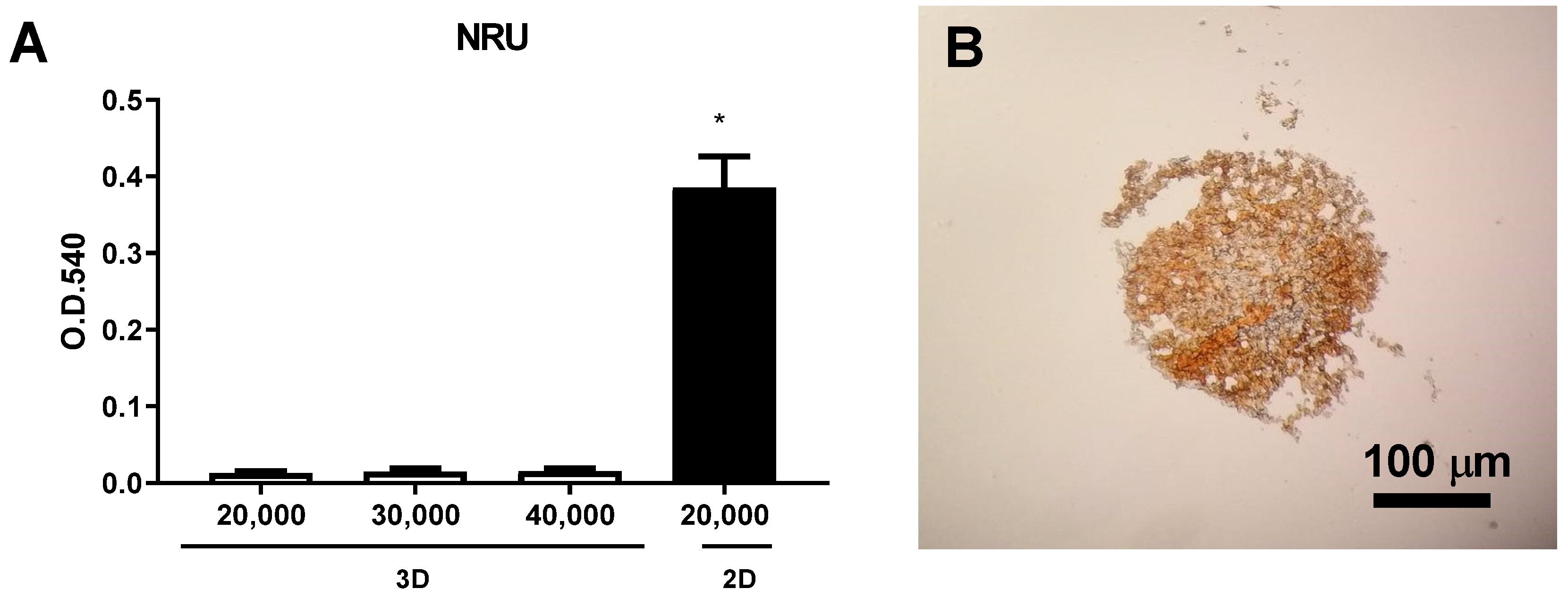 Applsci 13 01602 g007 Applsci 13 01602 g007