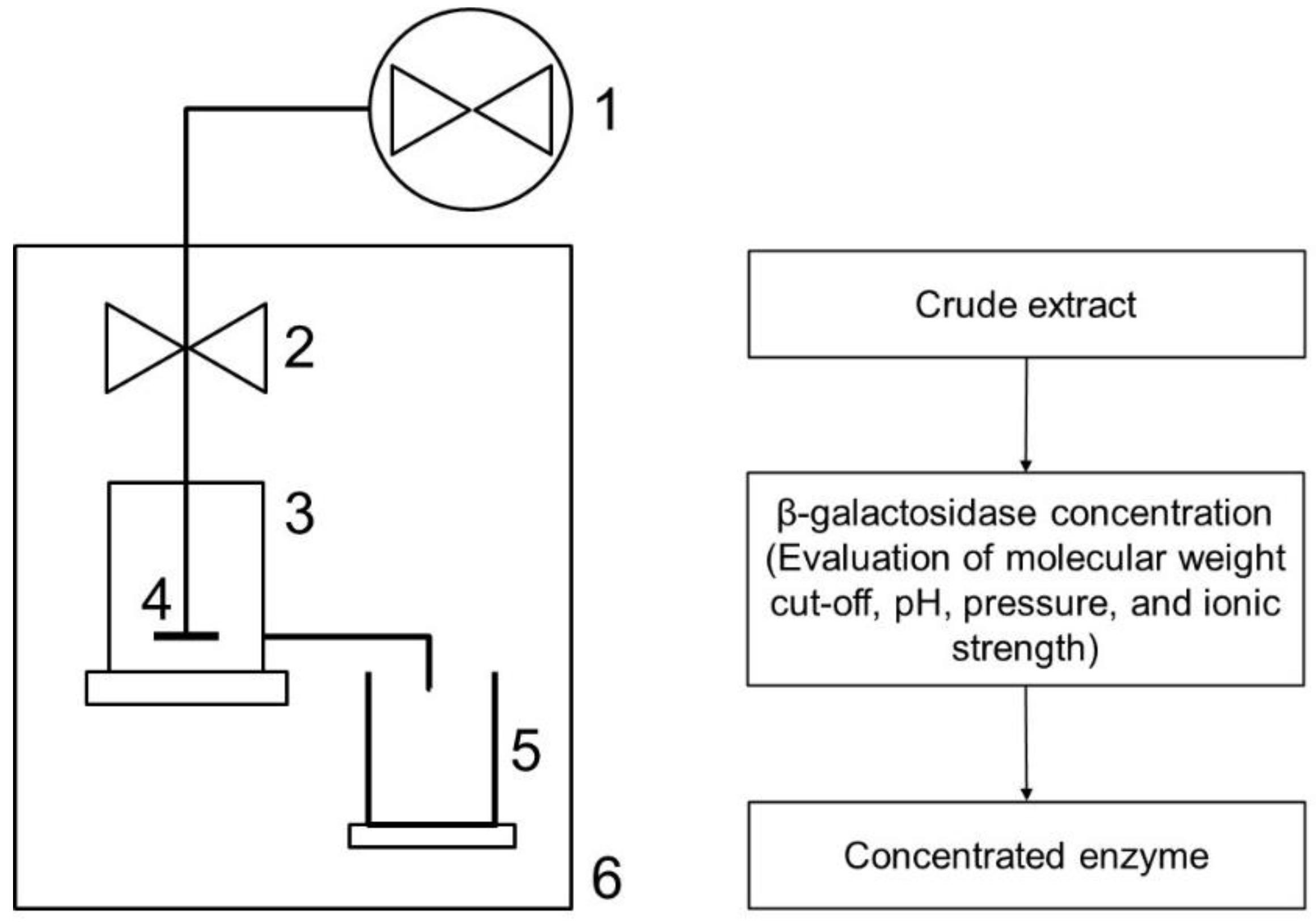 Applsci 13 01626 g001 Applsci 13 01626 g001