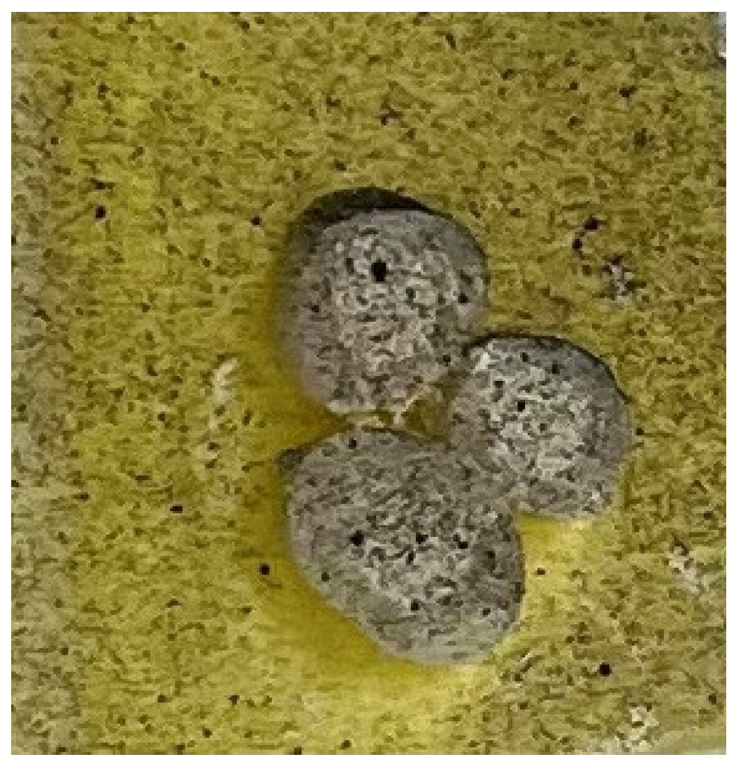 Applsci 13 01633 g002 Applsci 13 01633 g002