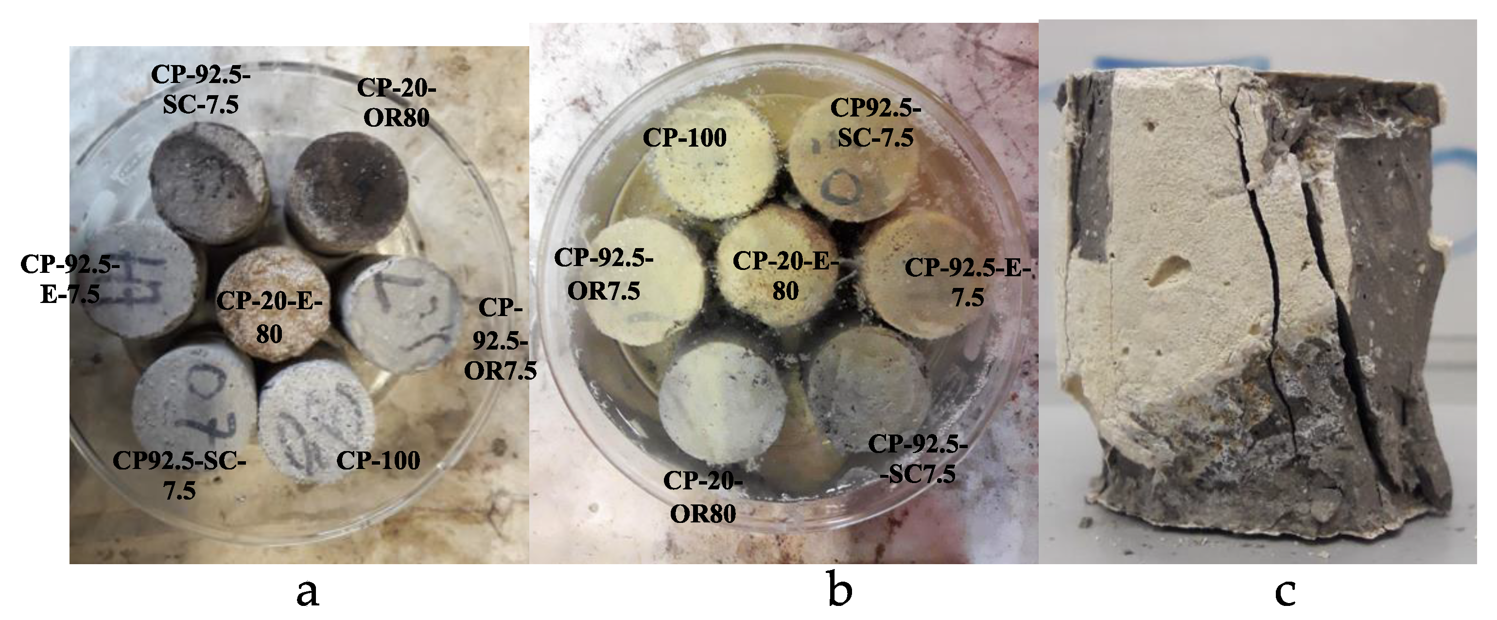 Applsci 13 01644 g004