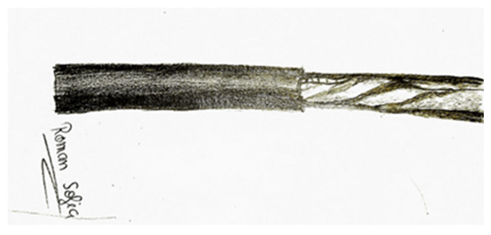 Applsci 13 01645 g001