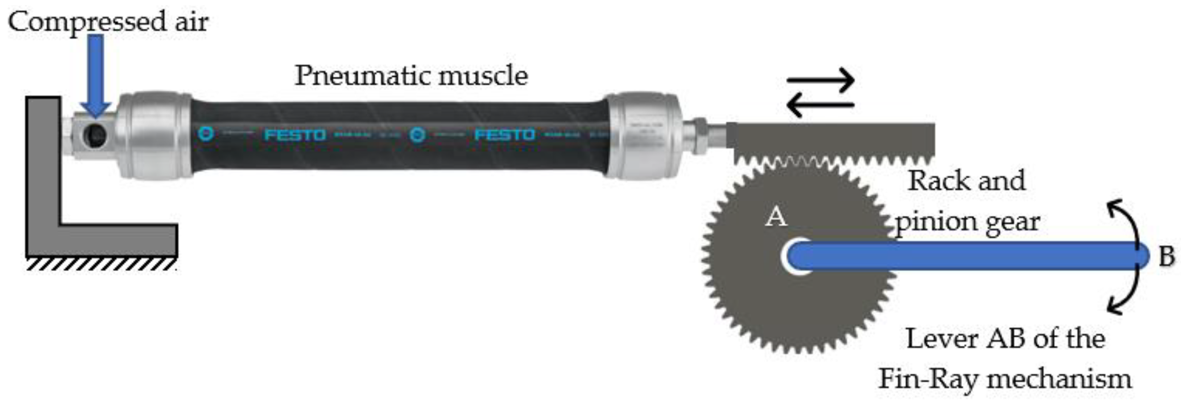 Applsci 13 01649 g004