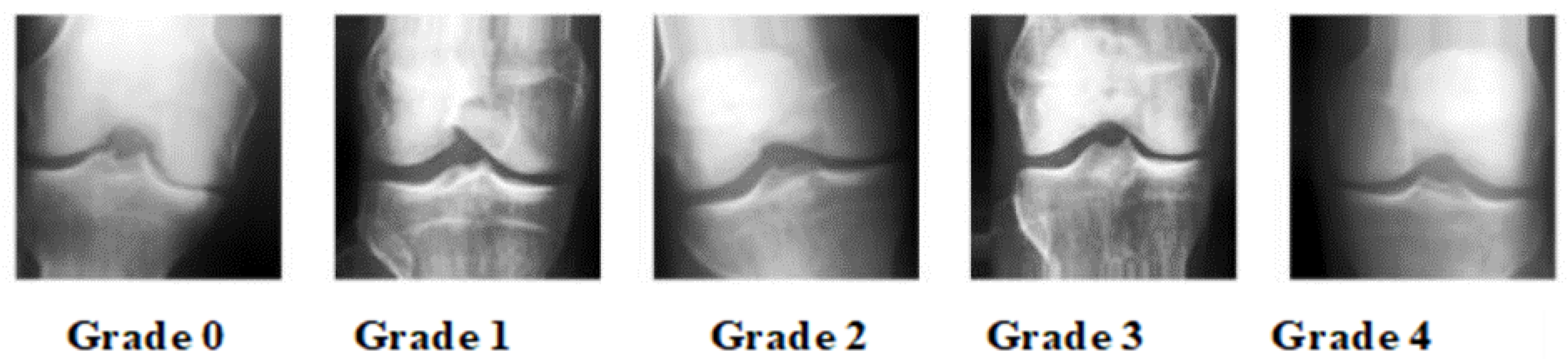 Applsci 13 01658 g004 Applsci 13 01658 g004