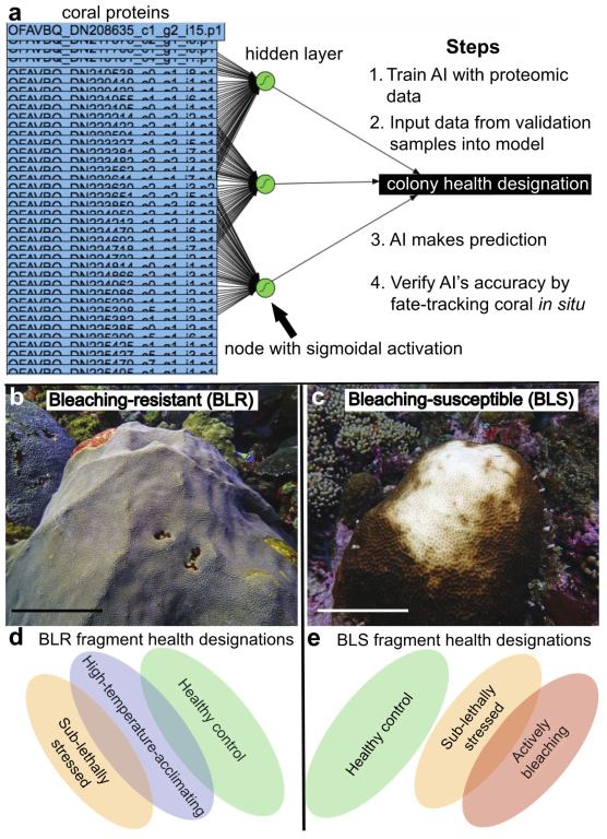 Applsci 13 01718 g002 Applsci 13 01718 g002
