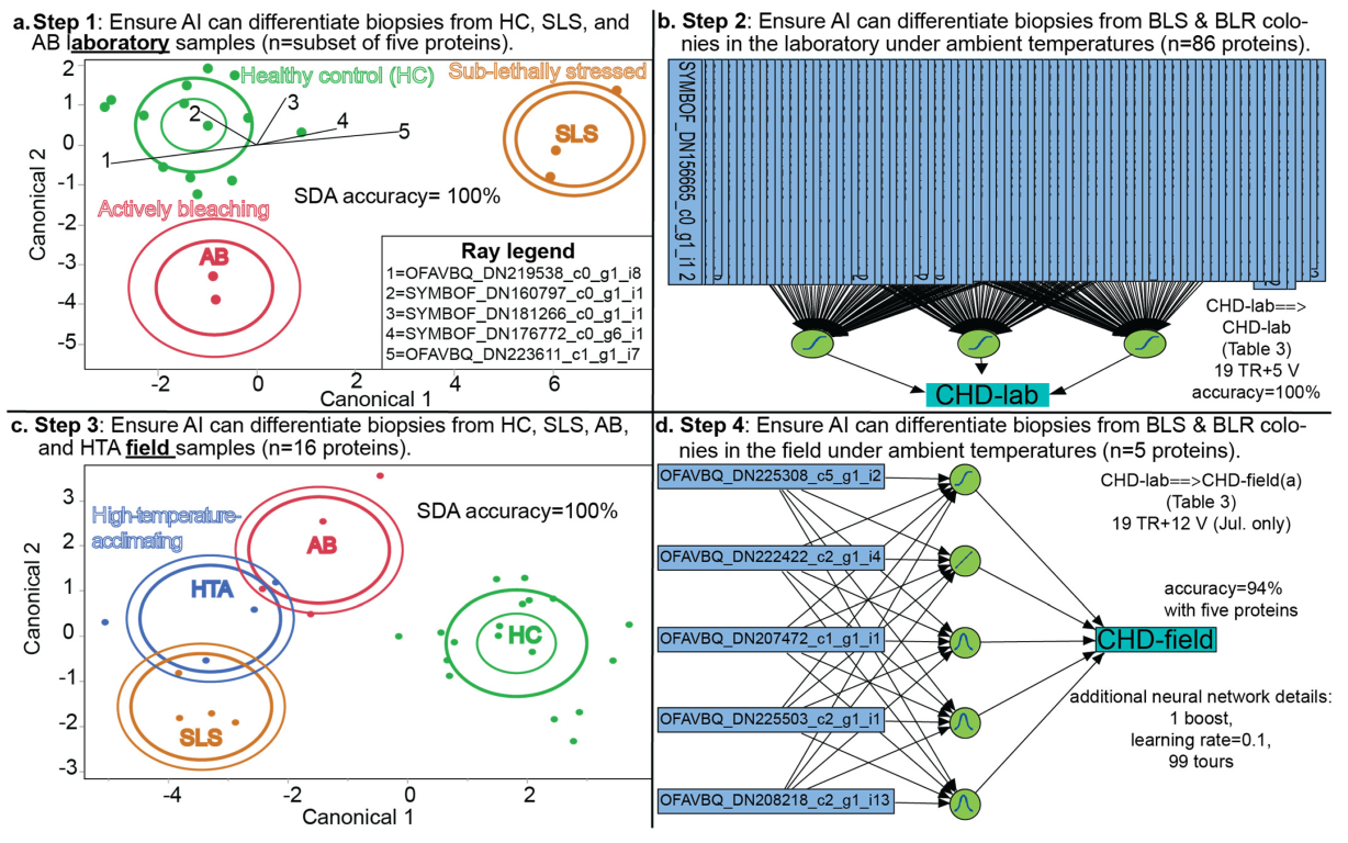 Applsci 13 01718 g004 Applsci 13 01718 g004