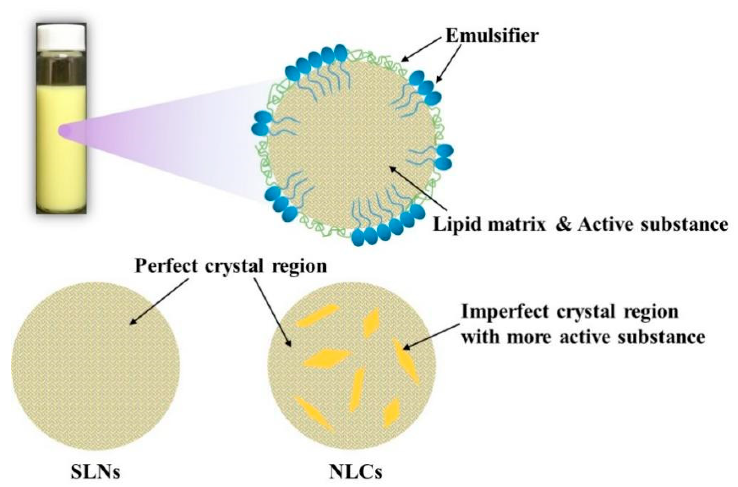 Applsci 13 01726 g001 Applsci 13 01726 g001