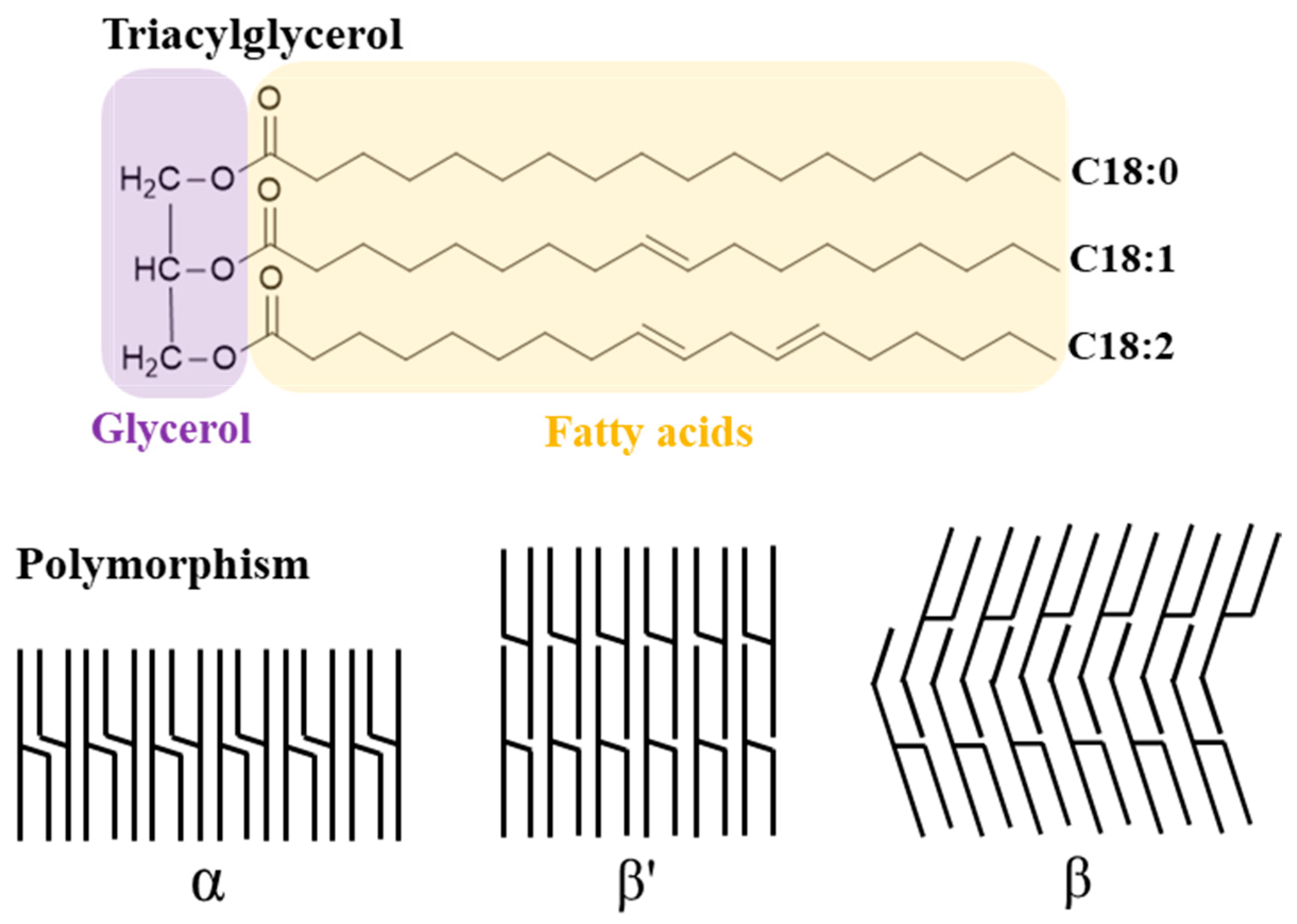 Applsci 13 01726 g002 Applsci 13 01726 g002