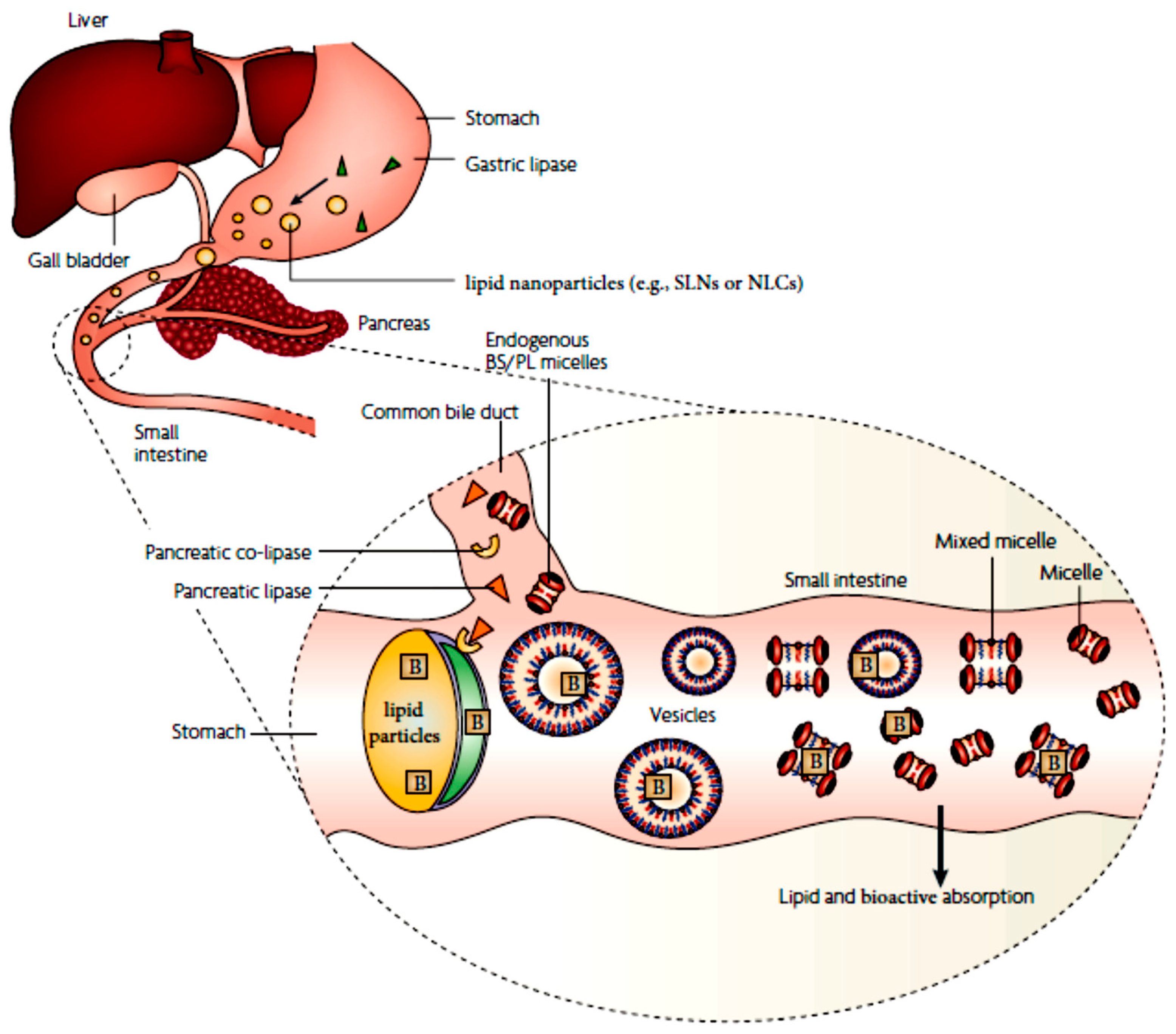 Applsci 13 01726 g005 Applsci 13 01726 g005