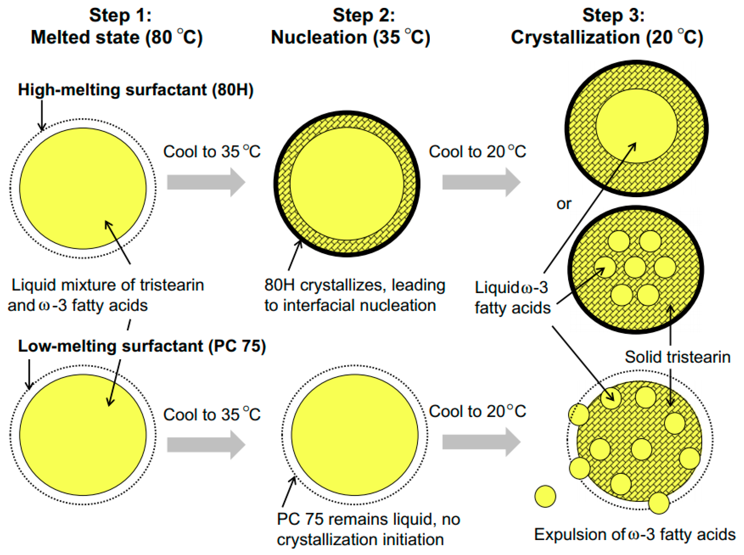 Applsci 13 01726 g006 Applsci 13 01726 g006