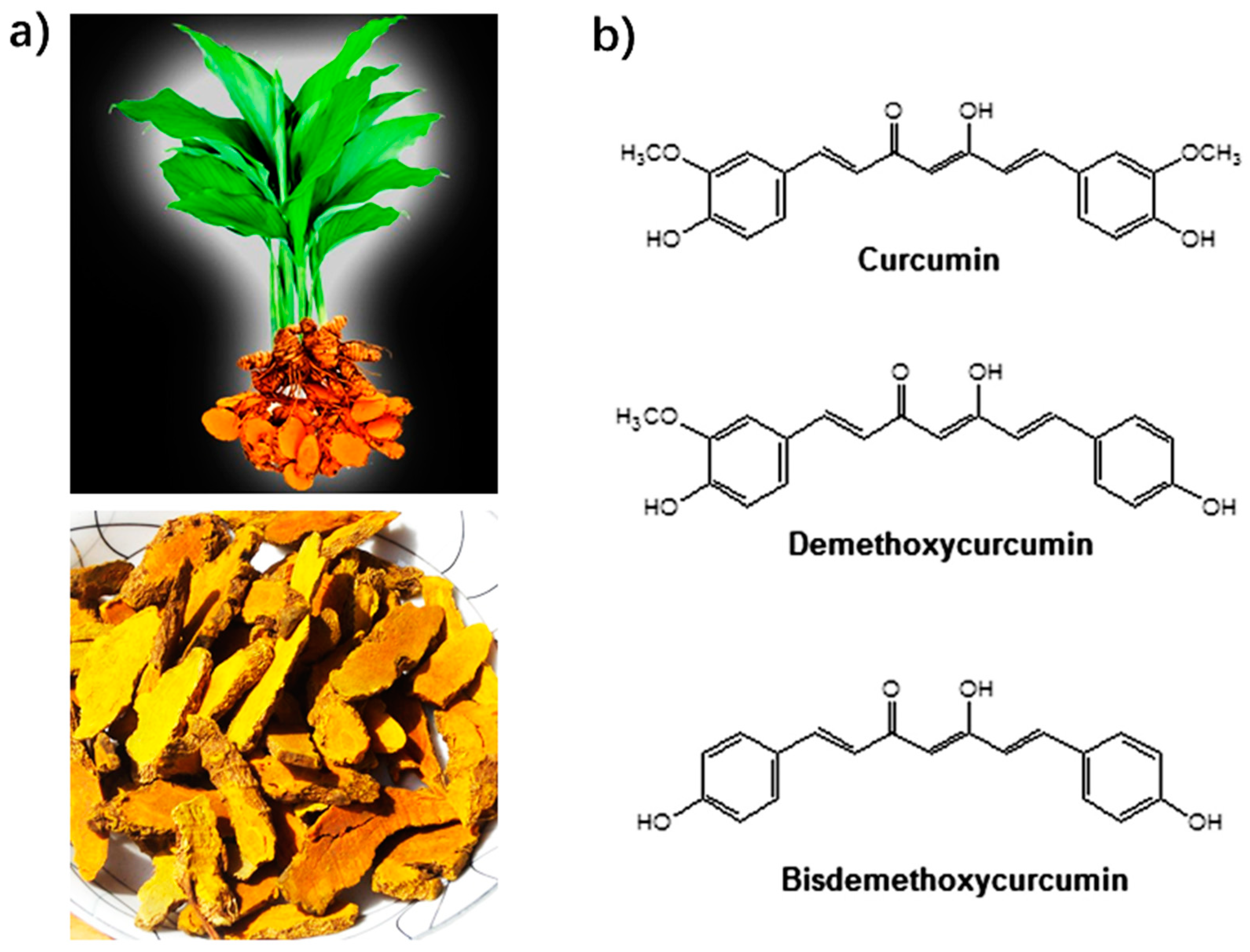 Applsci 13 01726 g007 Applsci 13 01726 g007