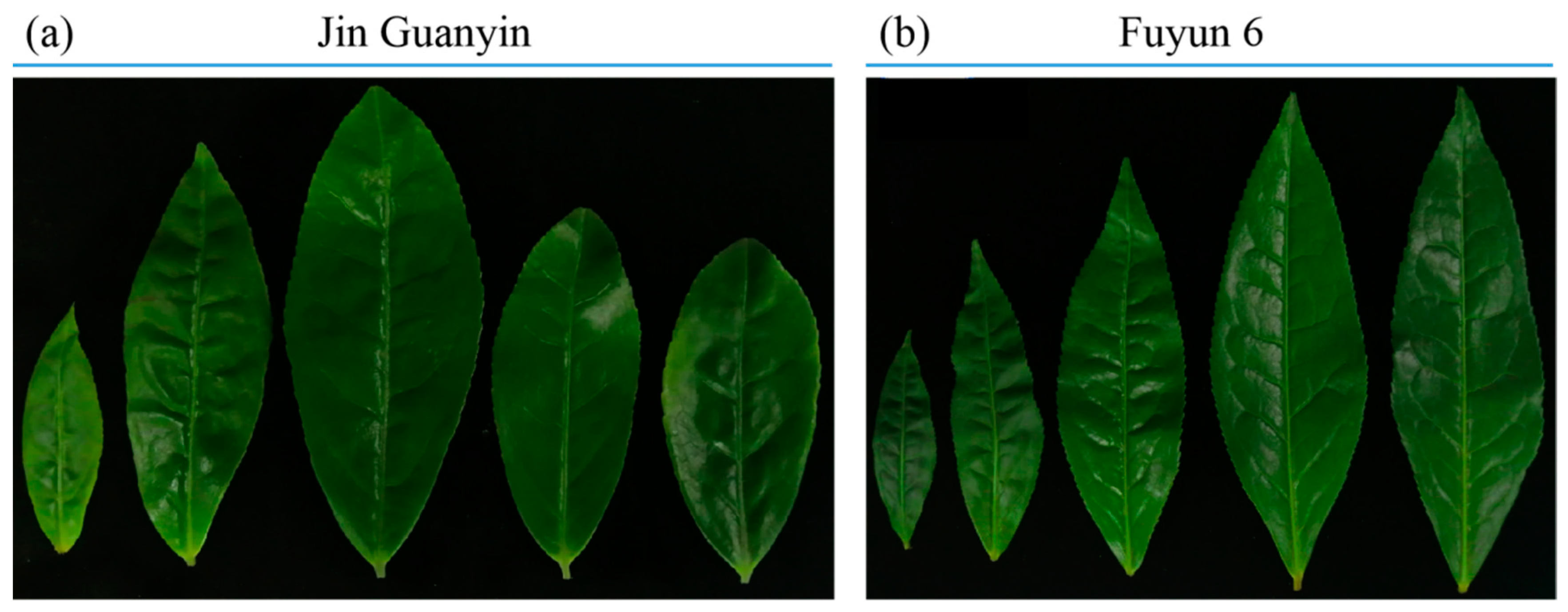 Applsci 13 01739 g001