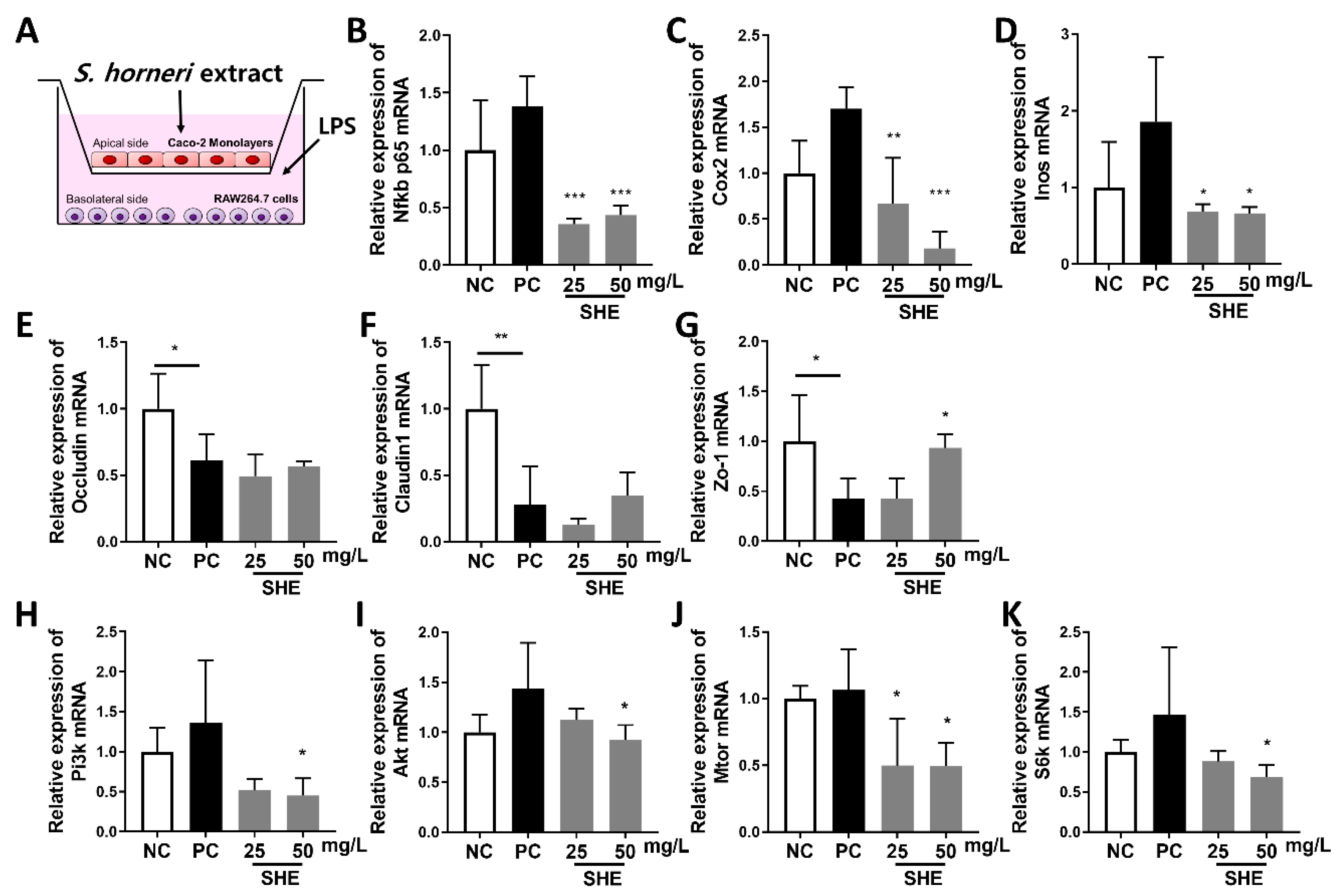 Applsci 13 01742 g003 Applsci 13 01742 g003