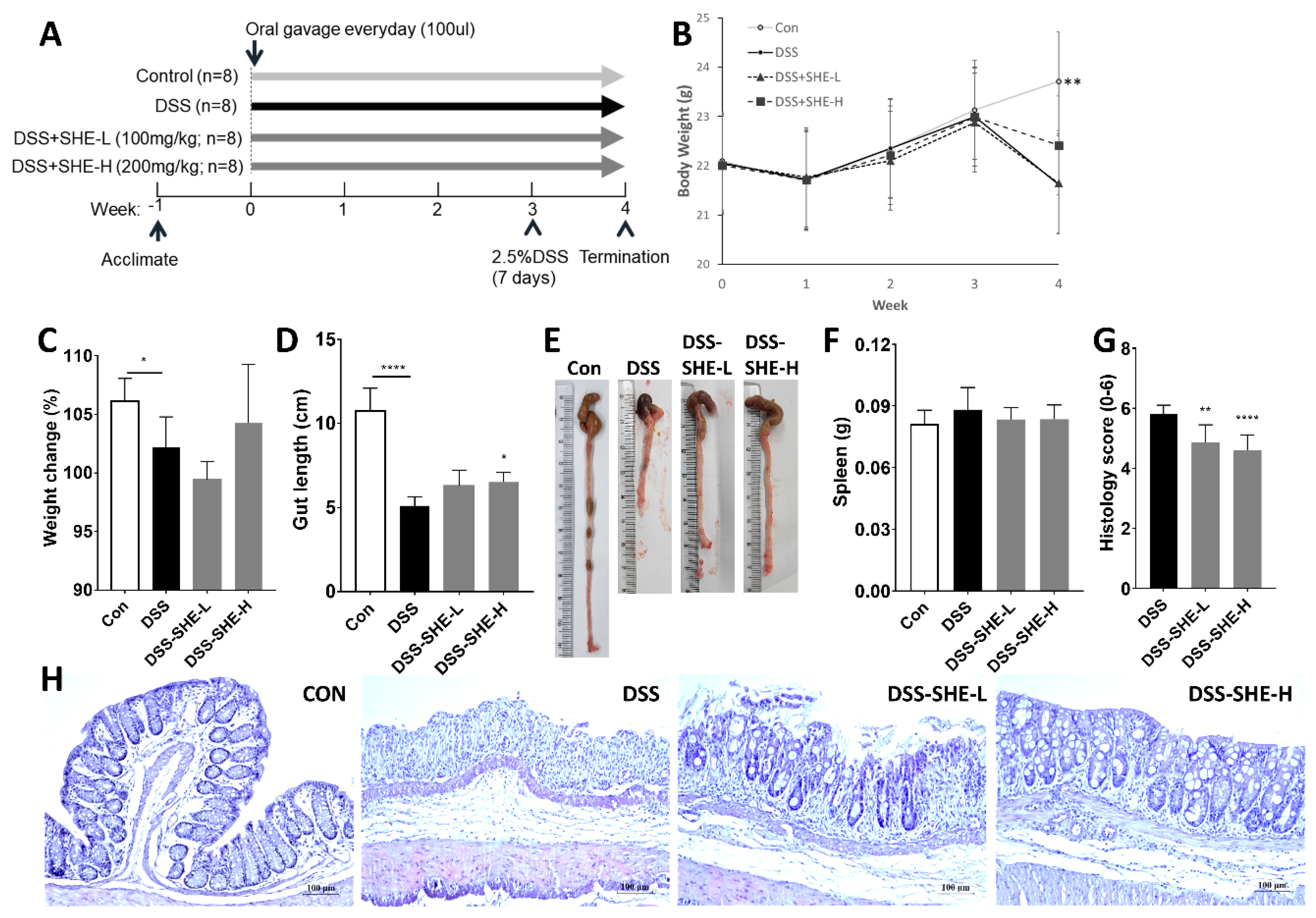 Applsci 13 01742 g004 Applsci 13 01742 g004